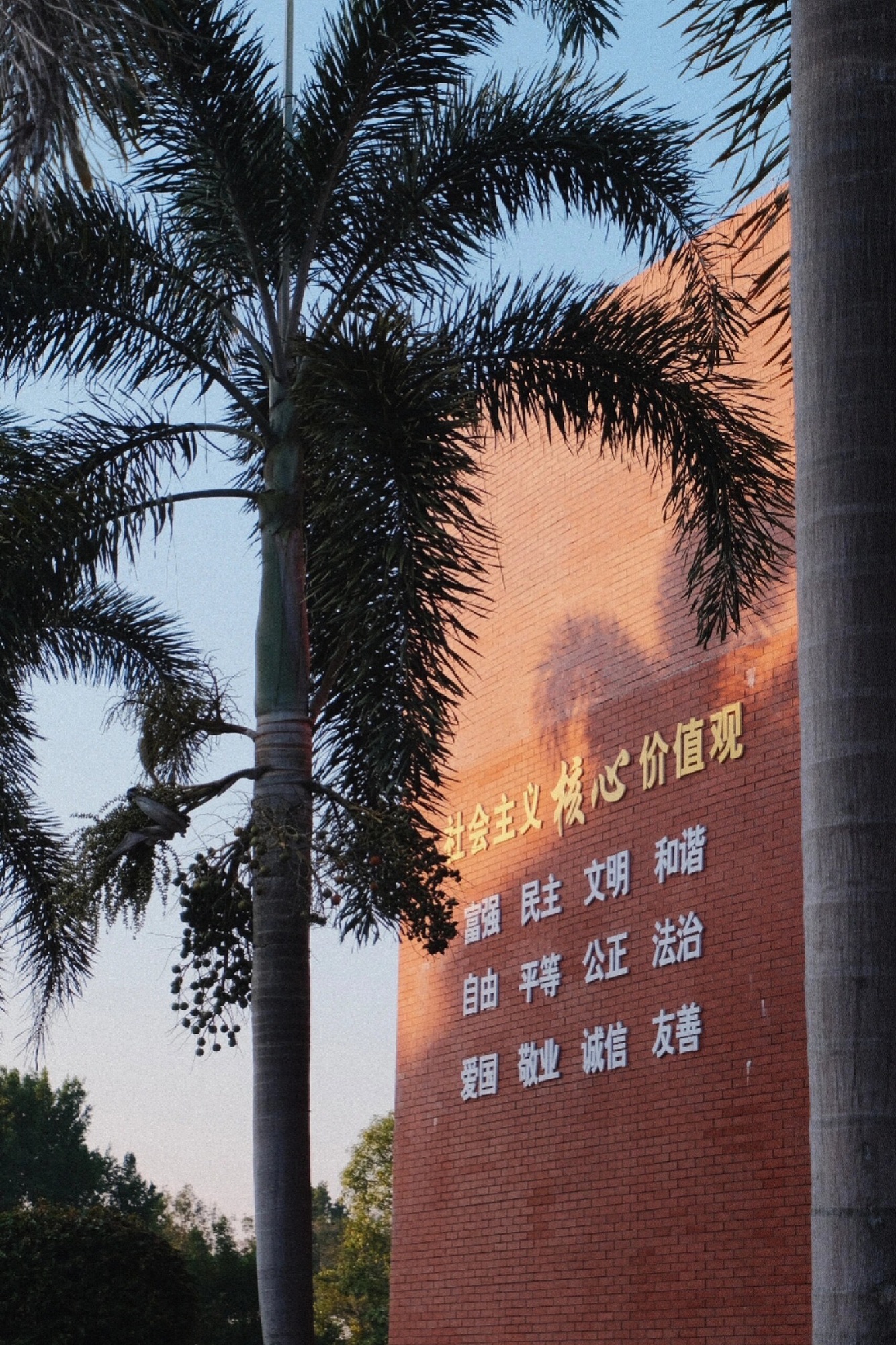 钦州园博园旅行图片 3