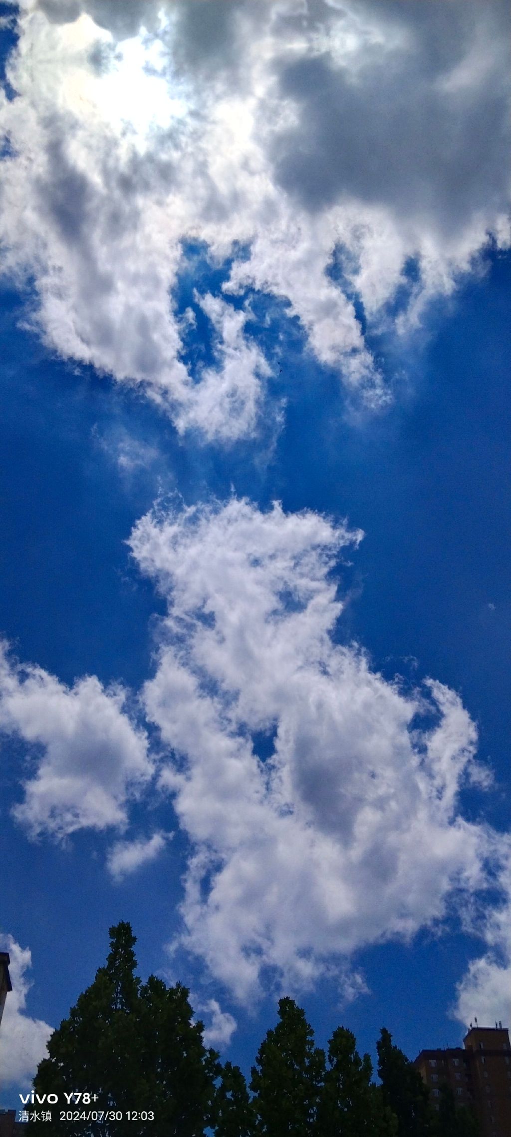 濮阳世纪森林公园旅行图片 1