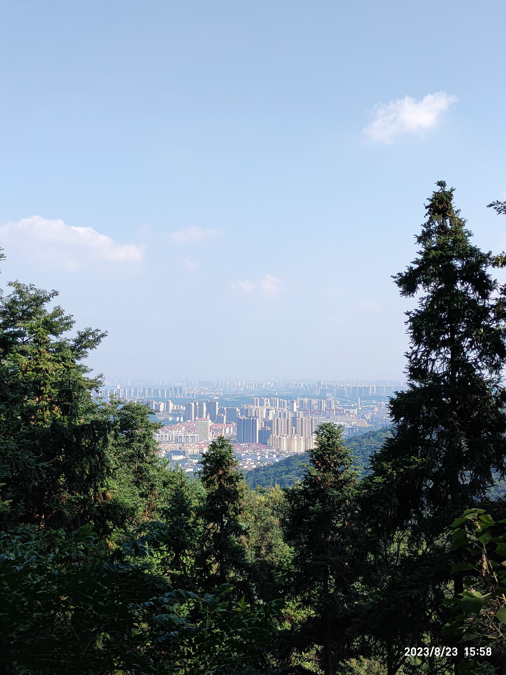 四坡顶