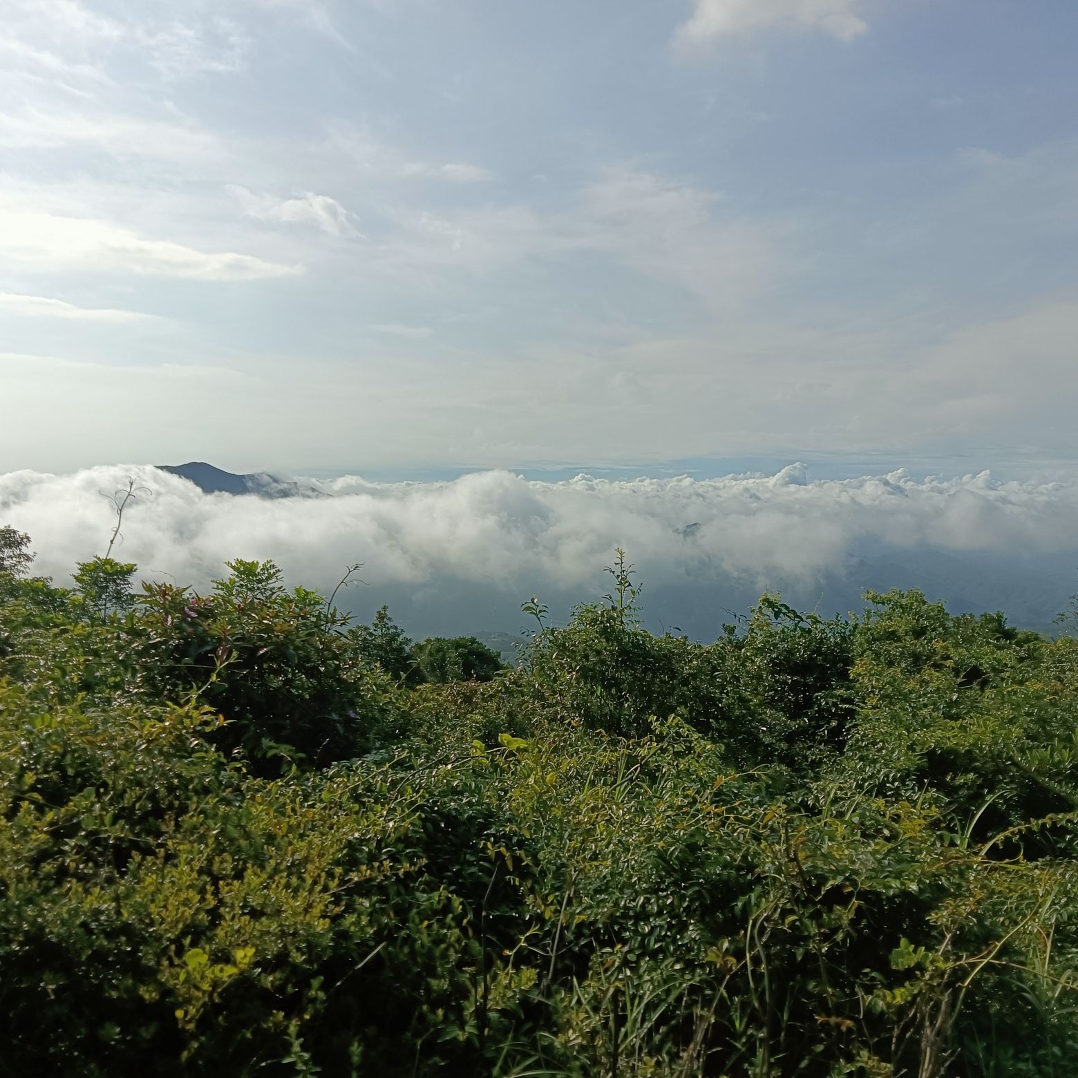 紫云洞旅行图片 1