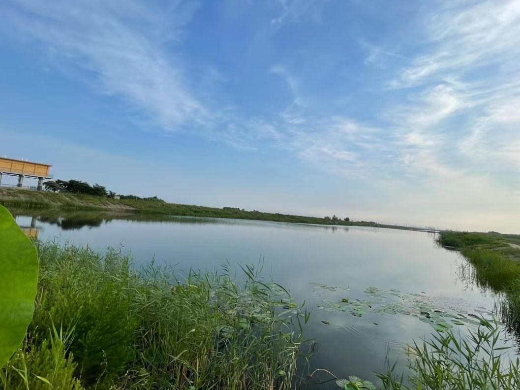 禹城徒骇河国家湿地公园旅行图片 2