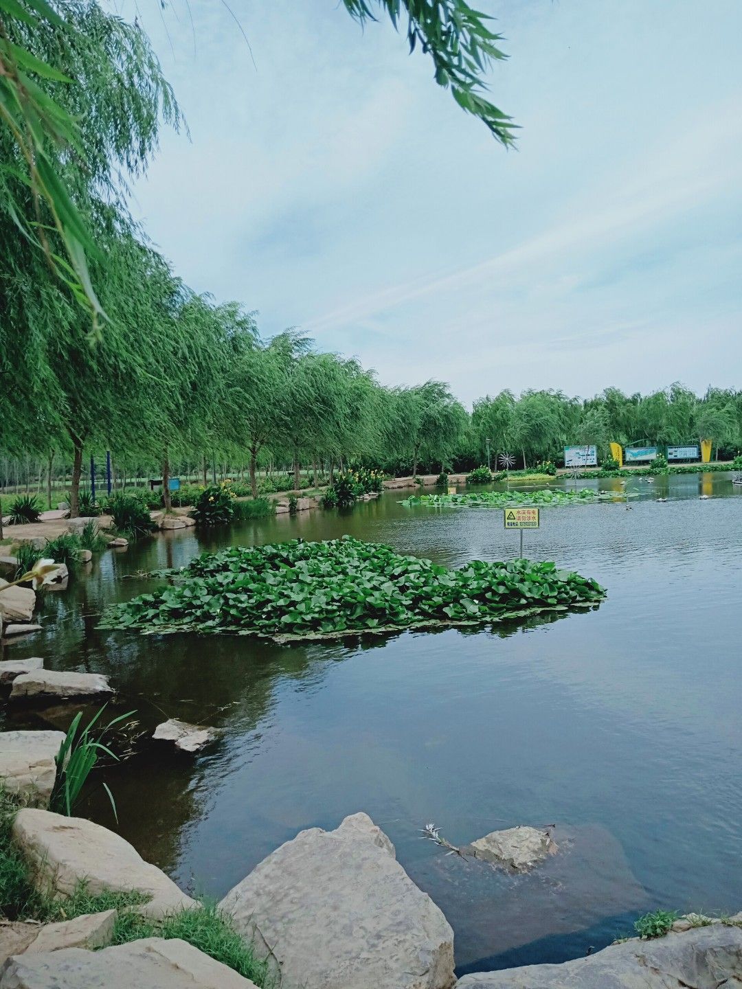 禹城徒骇河国家湿地公园旅行图片 2