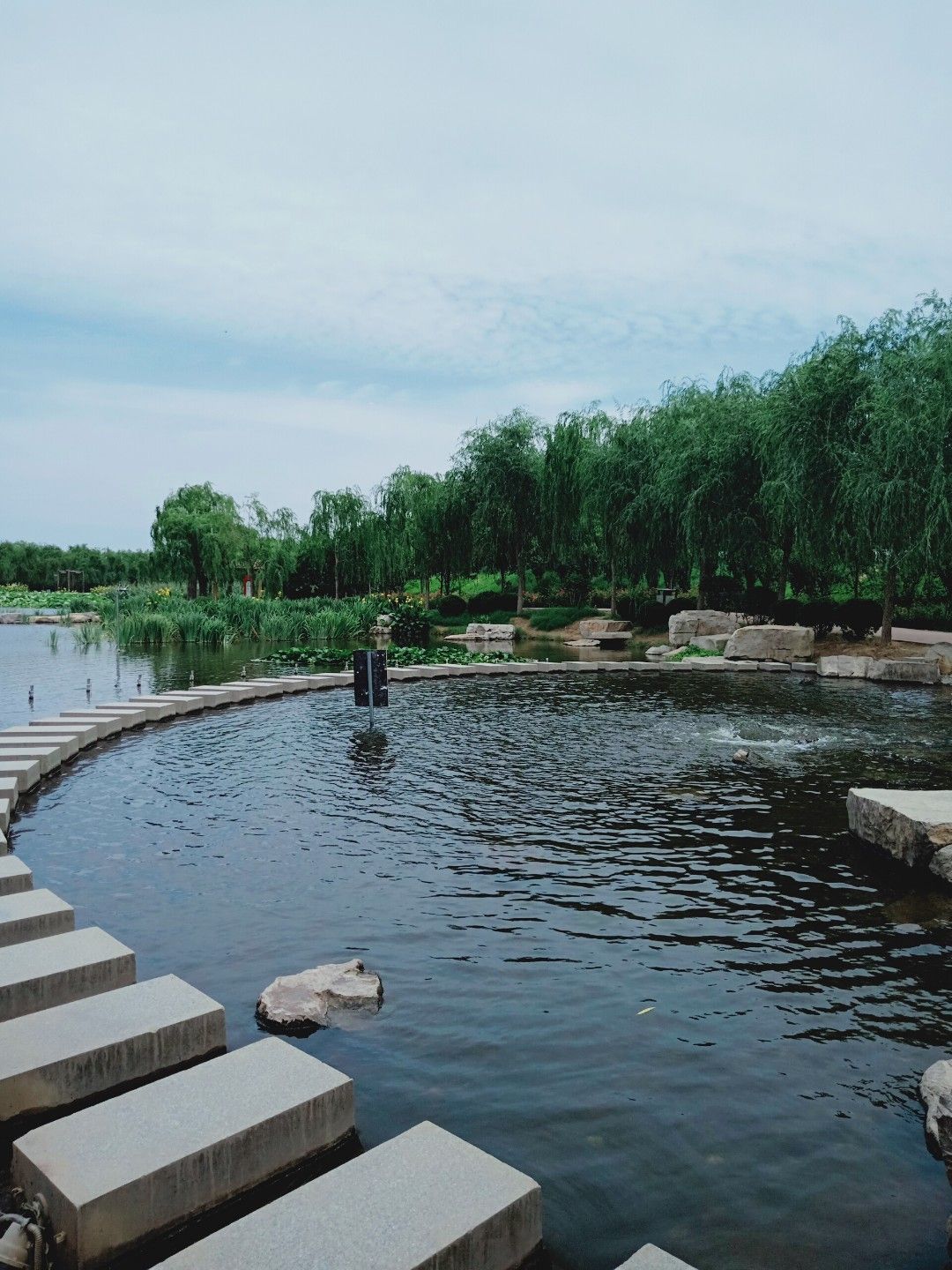 禹城徒骇河国家湿地公园旅行图片 3