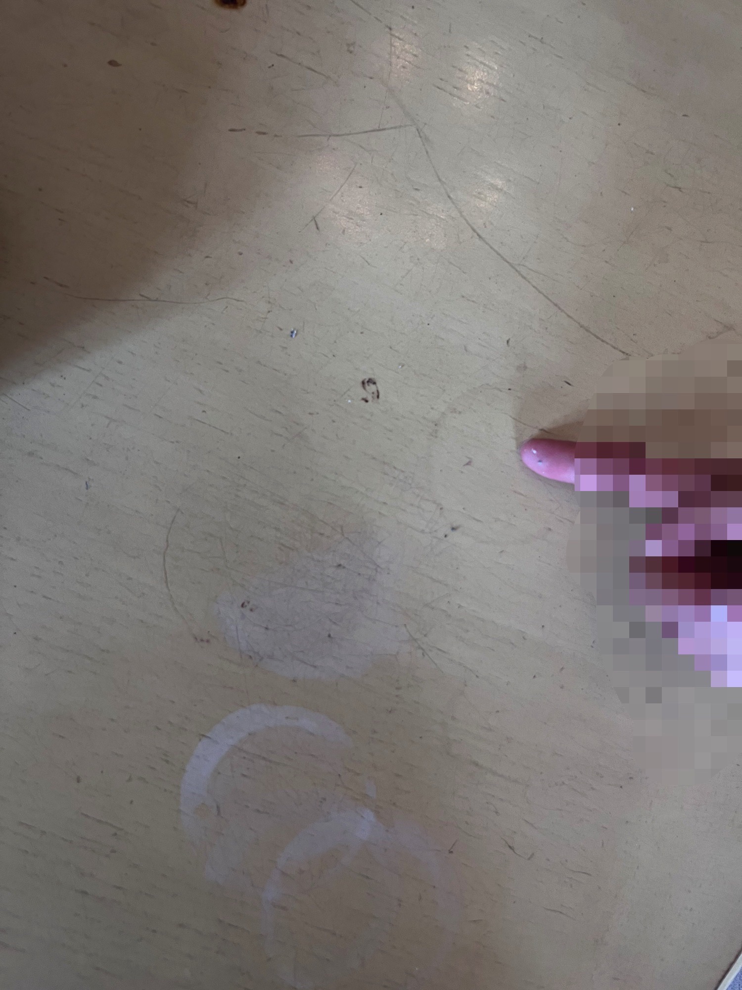北京张裕爱斐堡酒庄旅行图片 2
