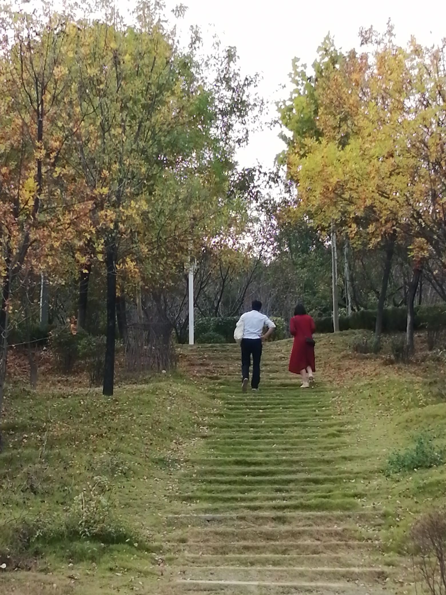 郑州索河郊野公园旅行图片 2