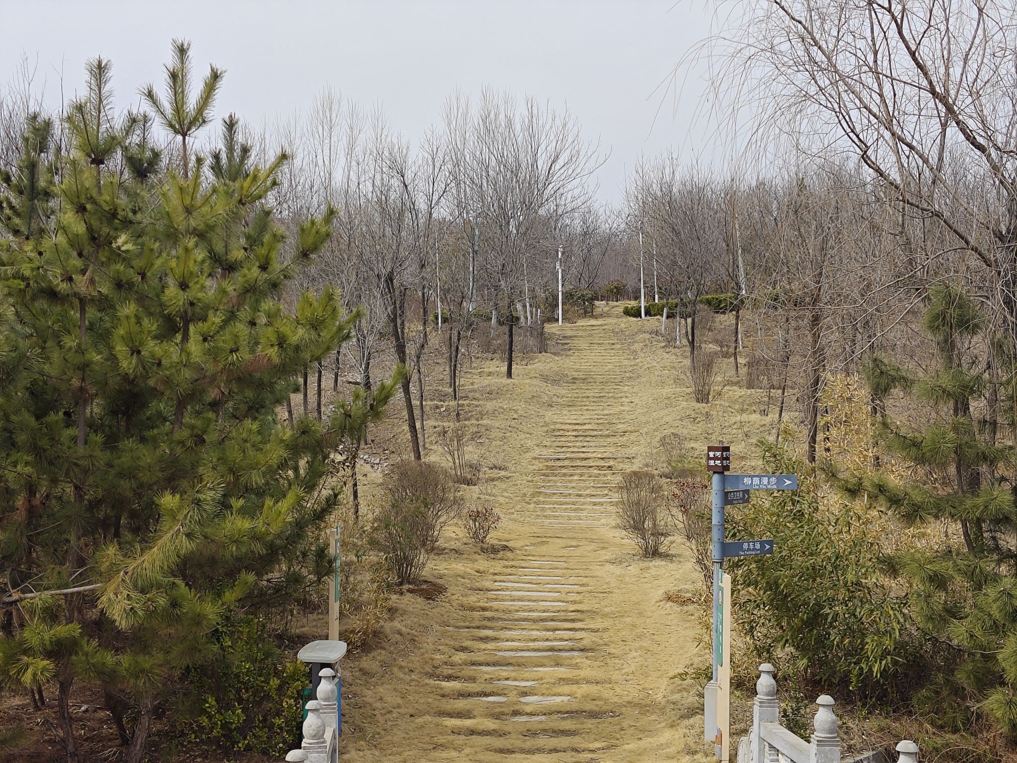 郑州索河郊野公园旅行图片 1