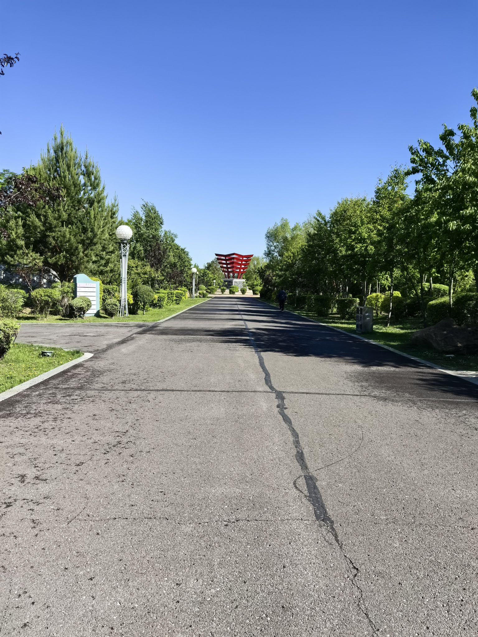 建三江植物园旅行图片 2