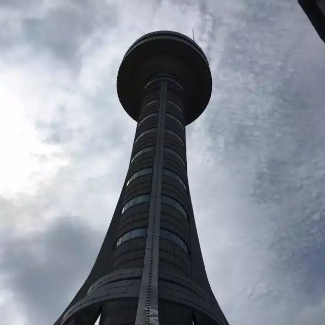 建三江植物园旅行图片 2