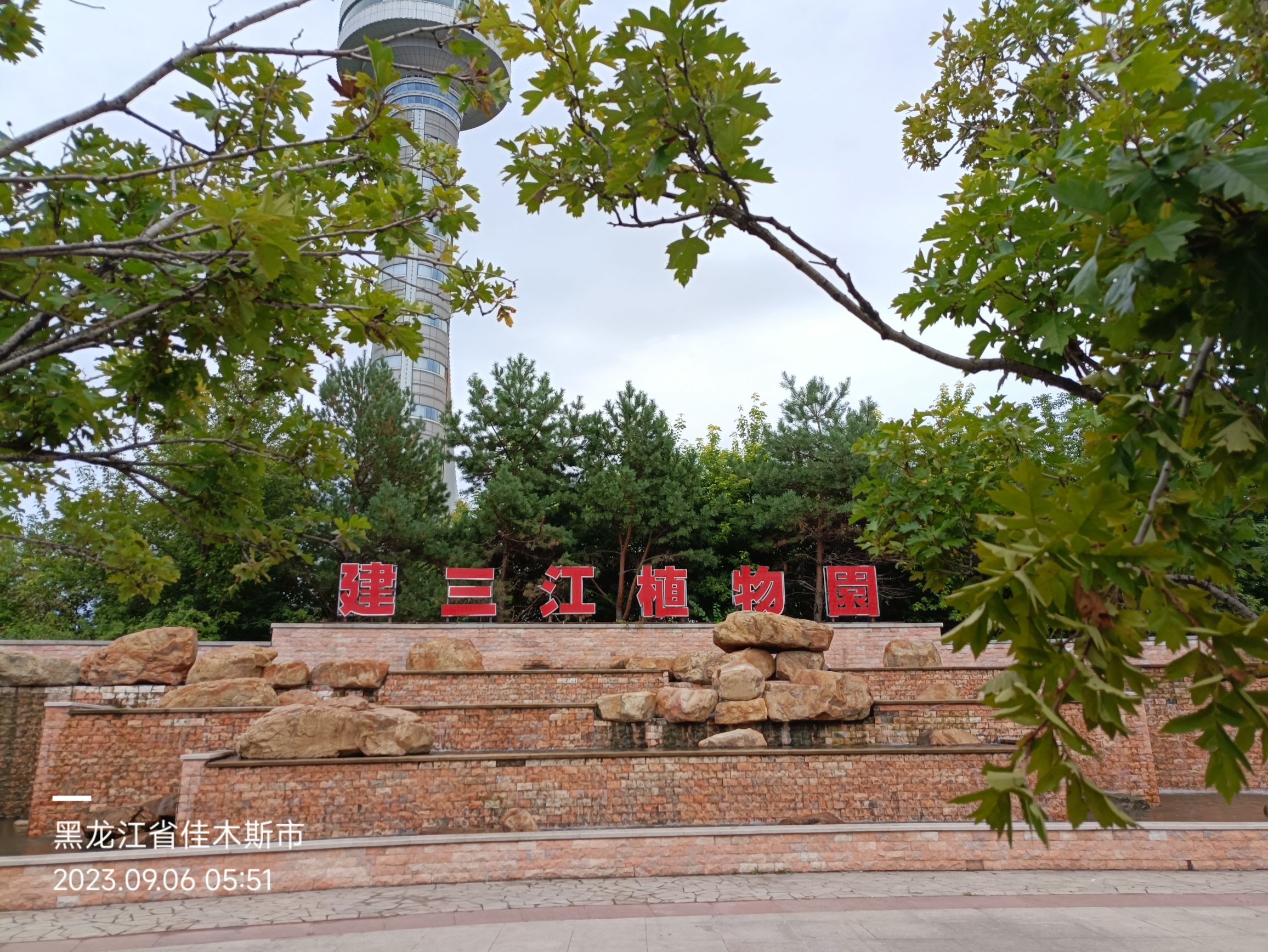 建三江植物园旅行图片 1