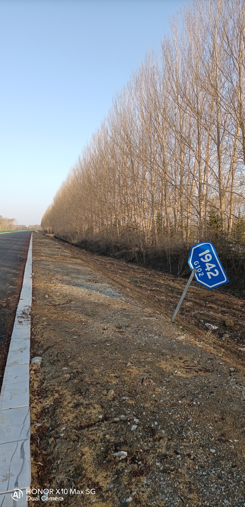 建三江植物园旅行图片 3