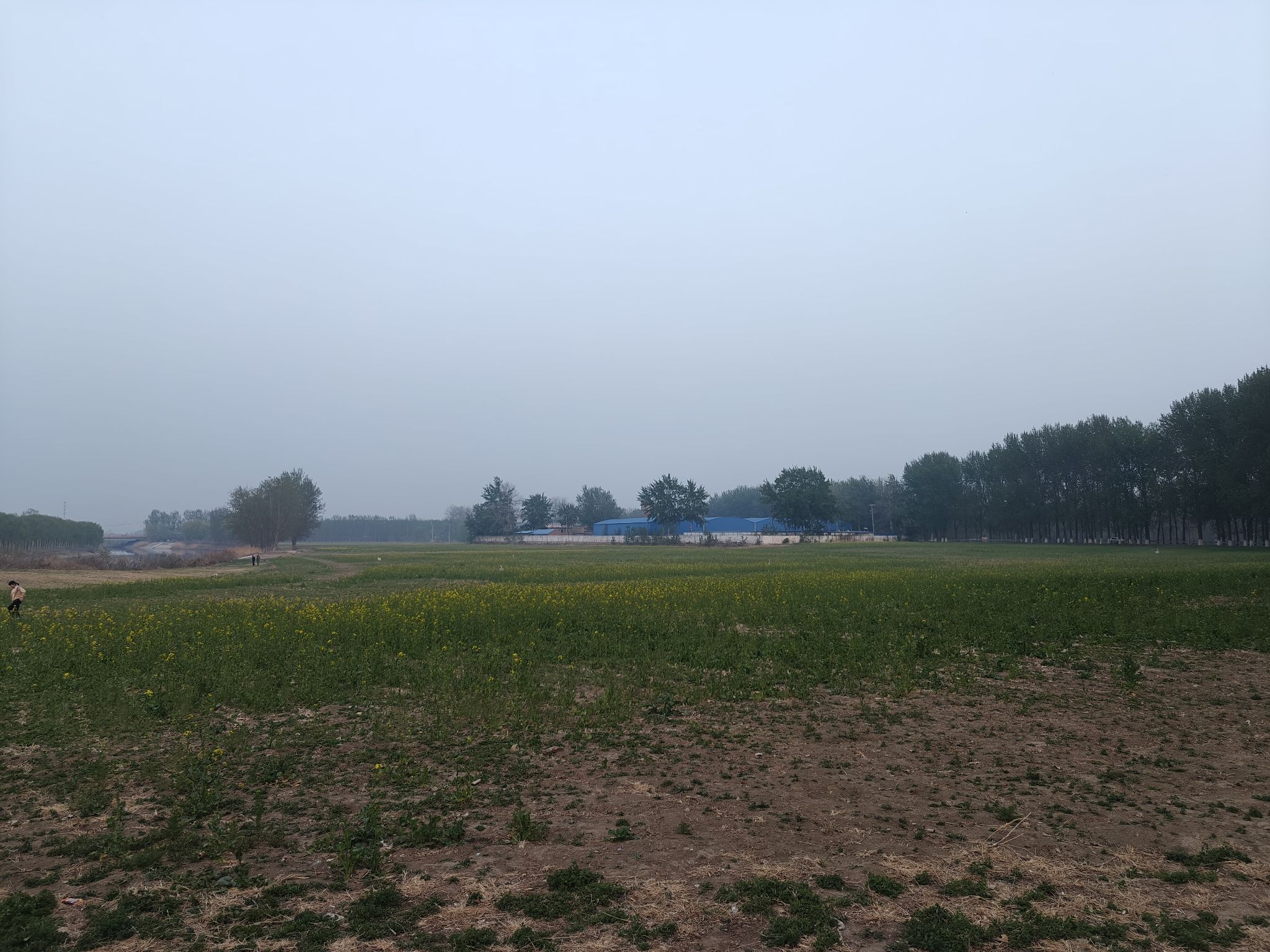 河畔花谷旅行图片 1
