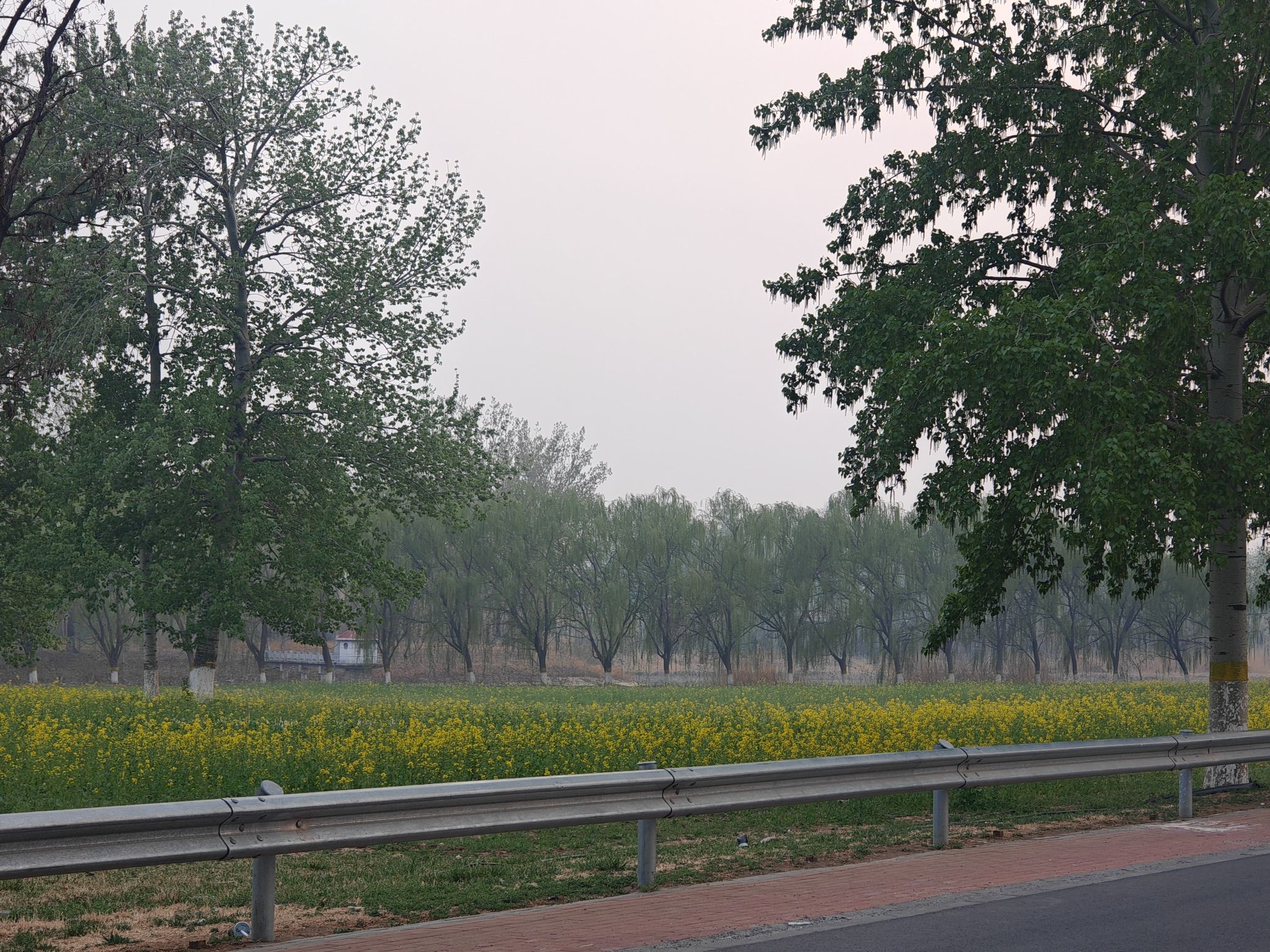河畔花谷旅行图片 3
