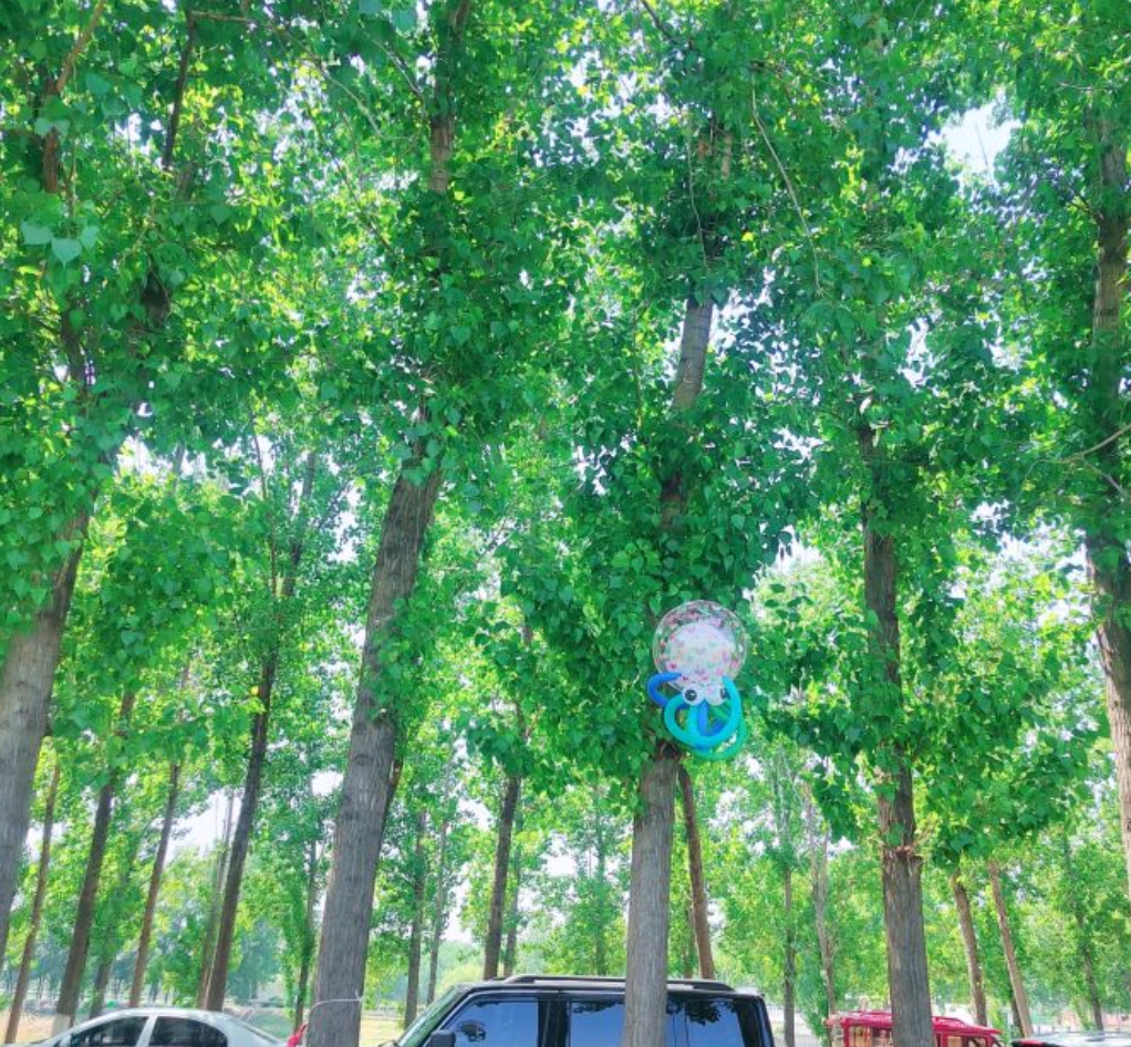 河畔花谷旅行图片