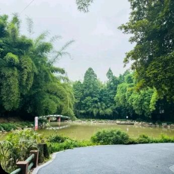 中国竹艺城旅行图片 2