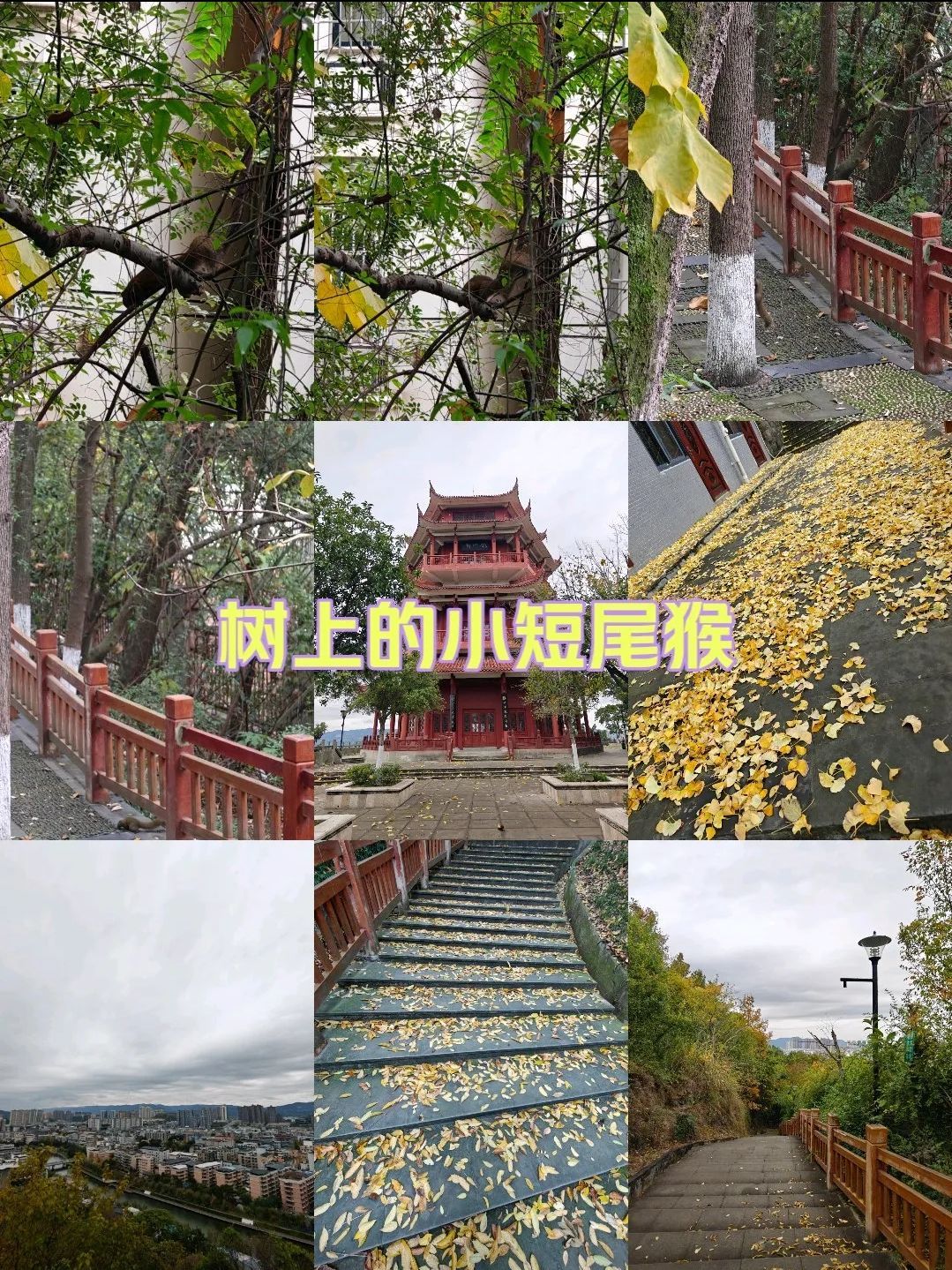 魁山公园旅行图片 1