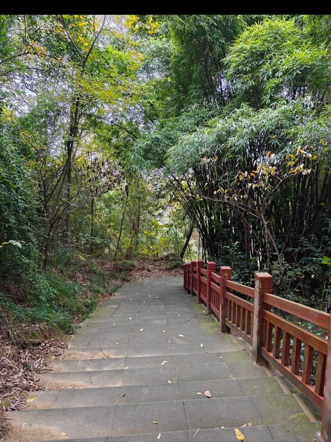 魁山公园旅行图片 2