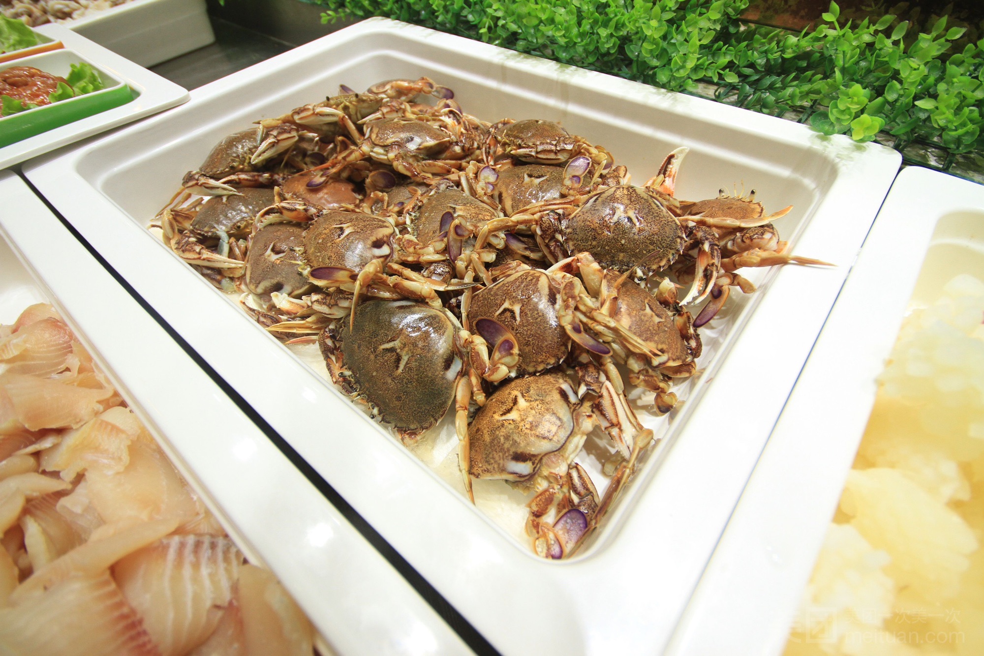 金福海自助餐厅(东三路店)