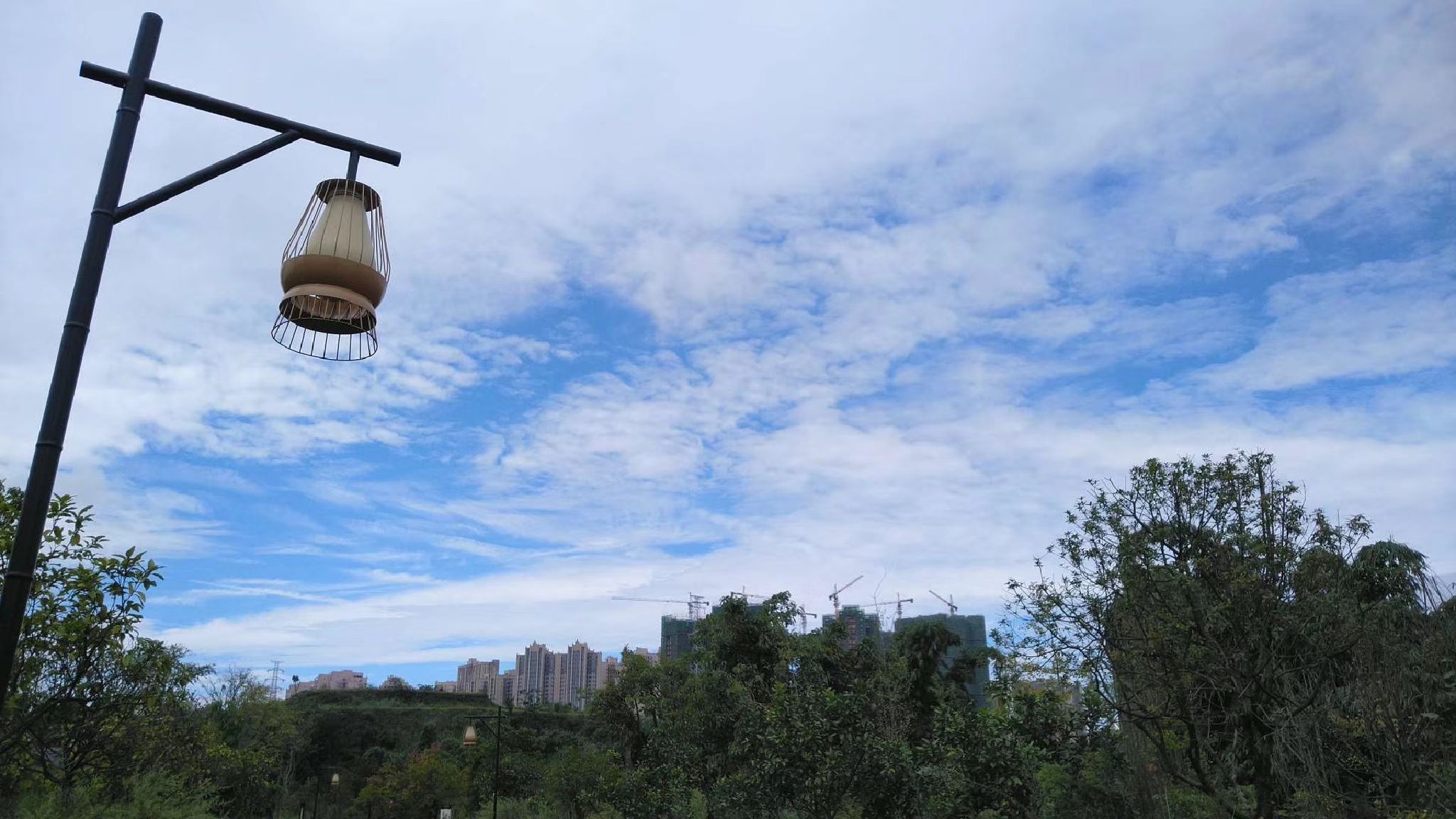 小青龙河湿地公园旅行图片 1