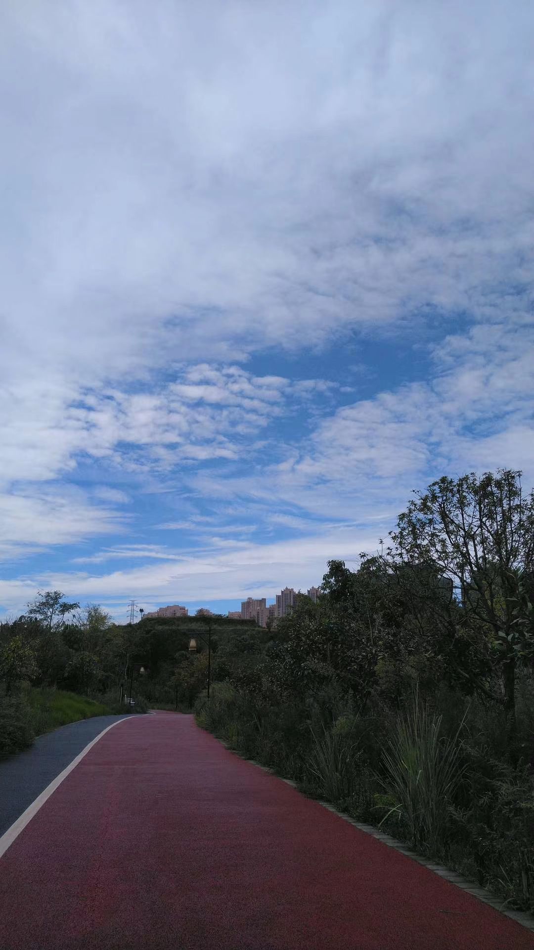小青龙河湿地公园旅行图片 2