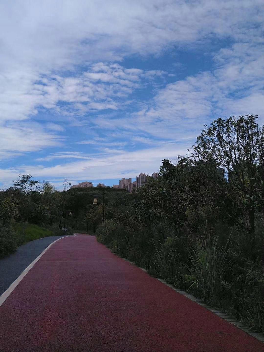小青龙河湿地公园旅行图片 1