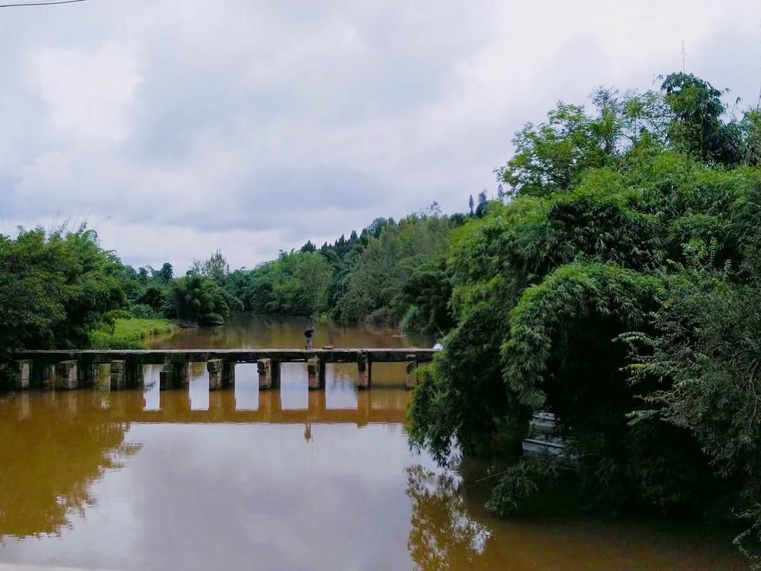 小青龙河湿地公园旅行图片 3