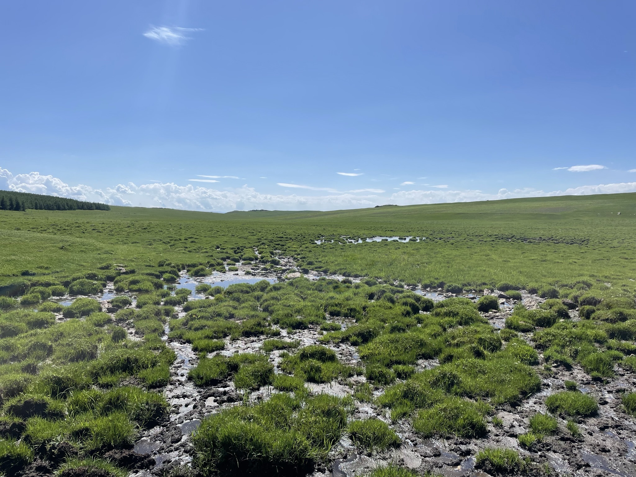 武川县哈乐镇淖尔梁高山湿地旅行图片 3