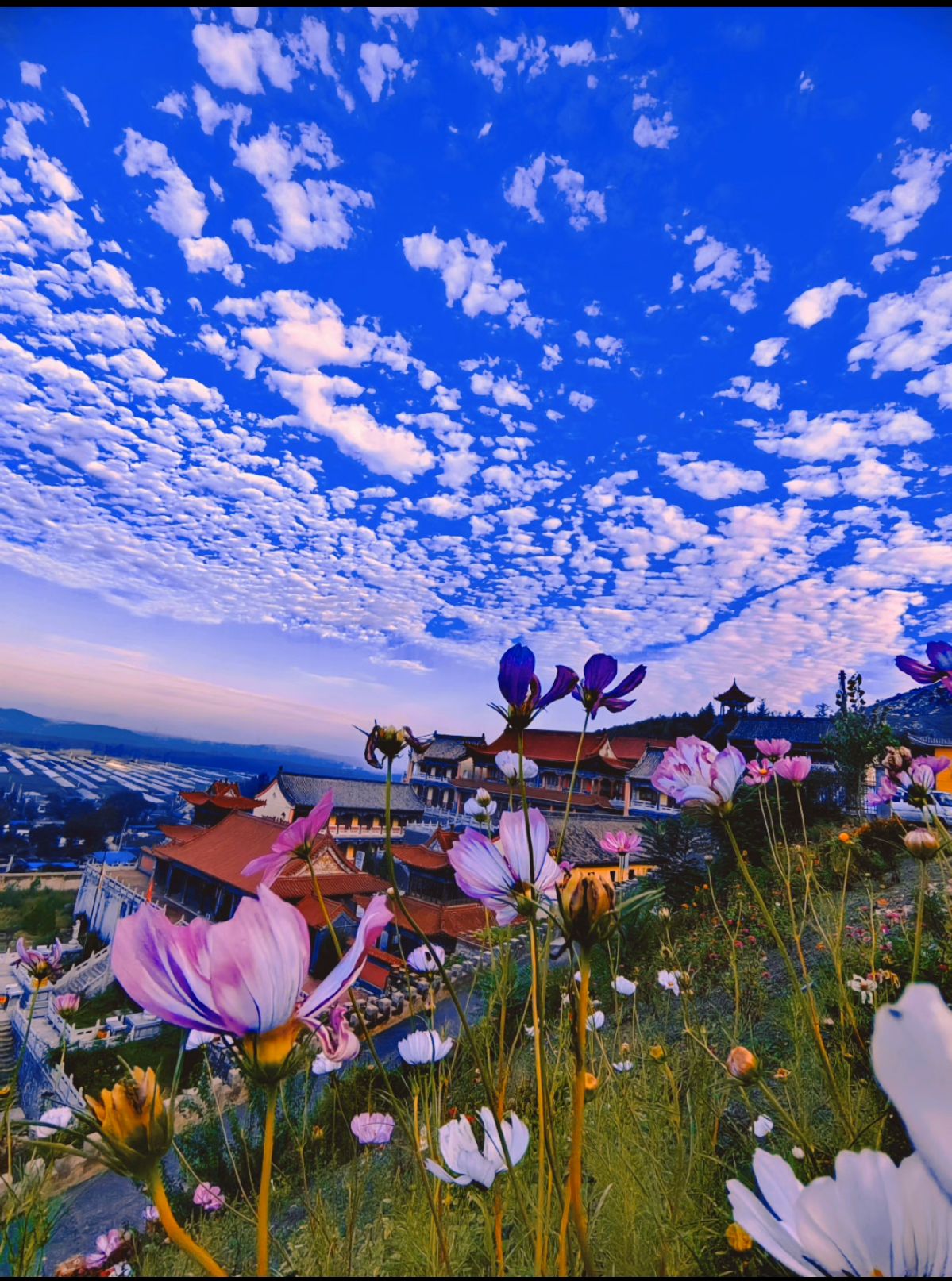 普渡寺实景照片