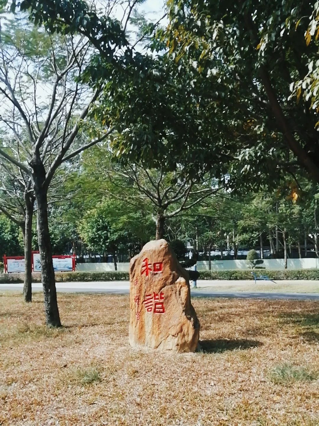 崇文公园旅行图片 1