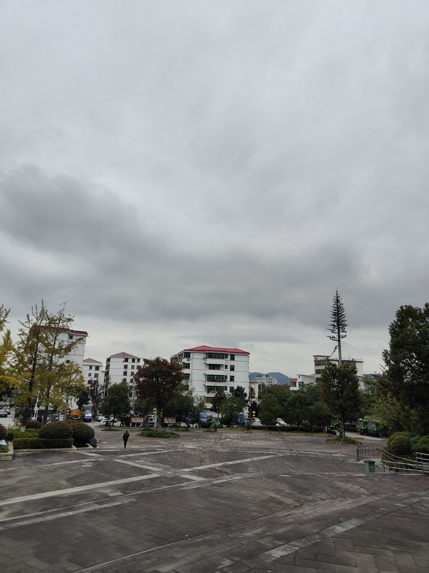 泸水河湿地公园旅行图片 2