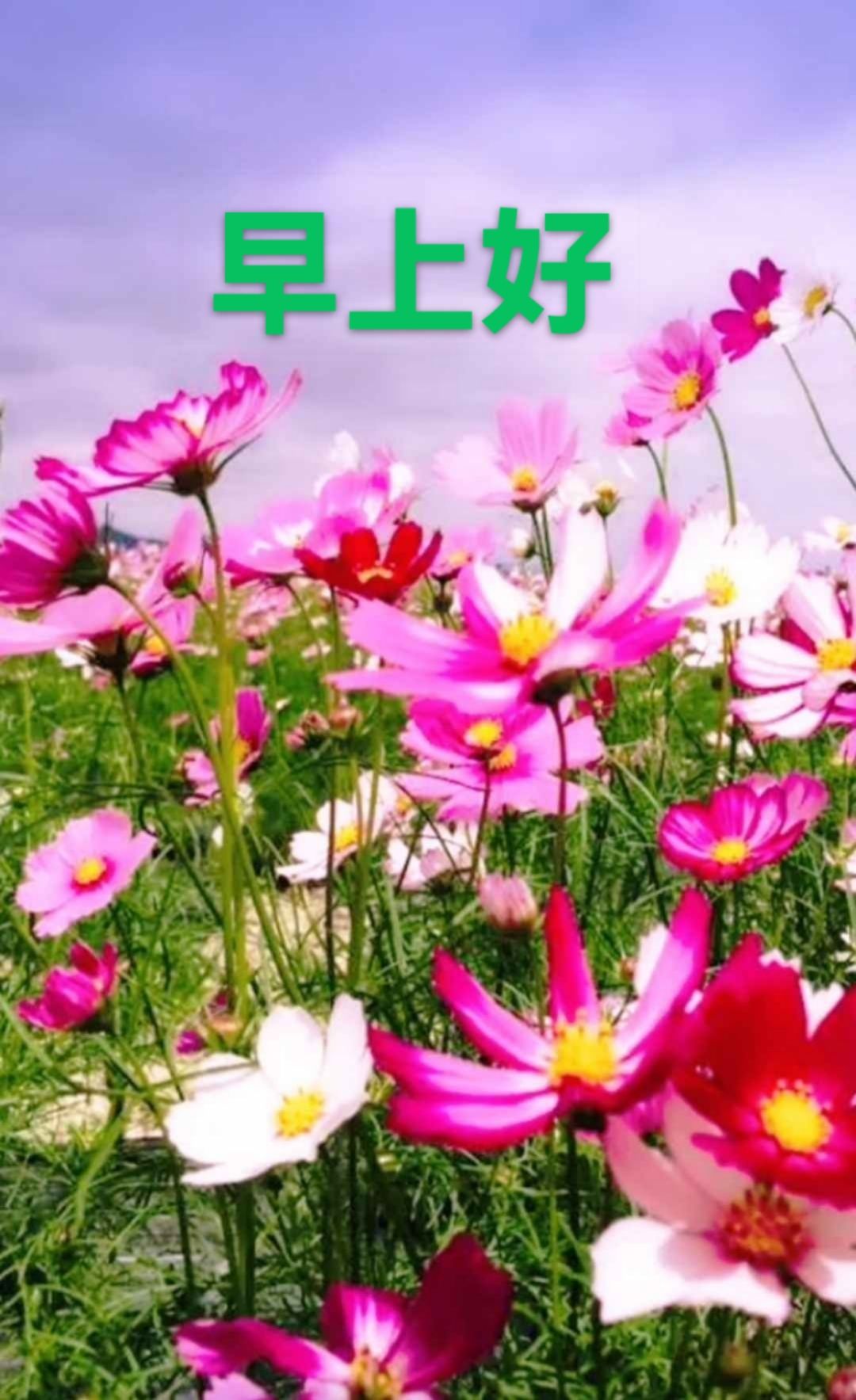 大台山旅游风景区旅行图片 1