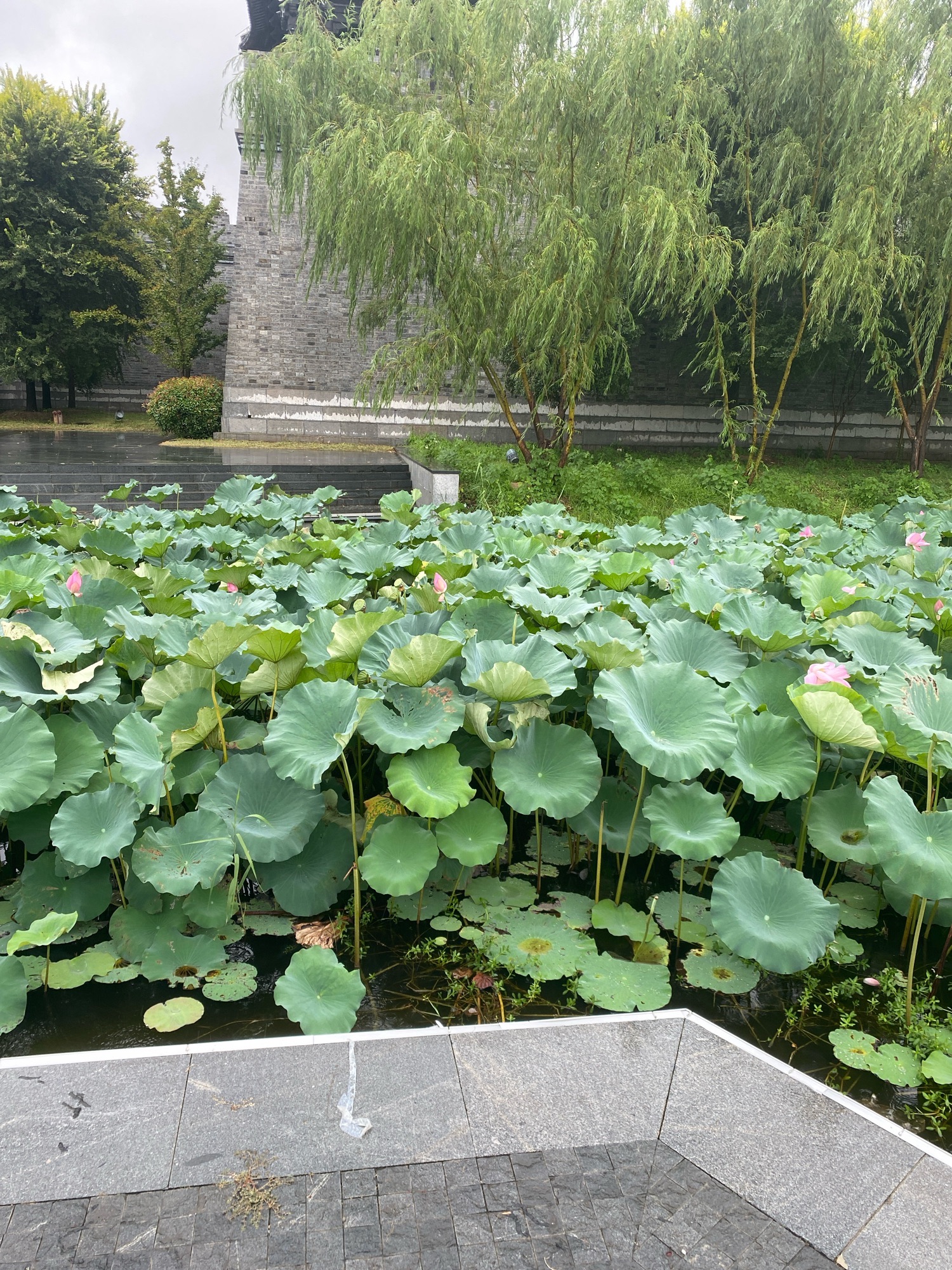 中国漕运城旅行图片 3