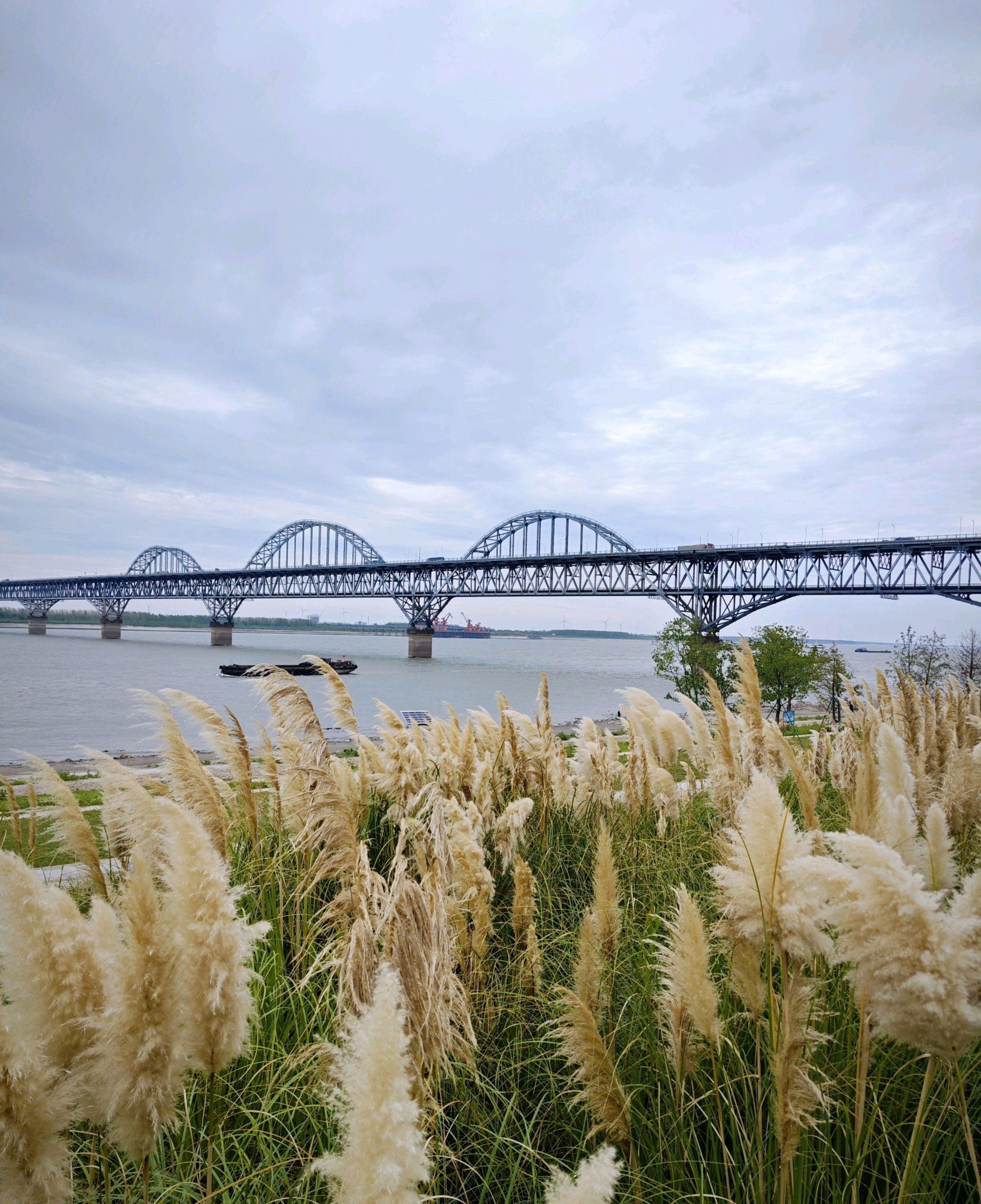 浔阳江文化旅游景区旅行图片 3