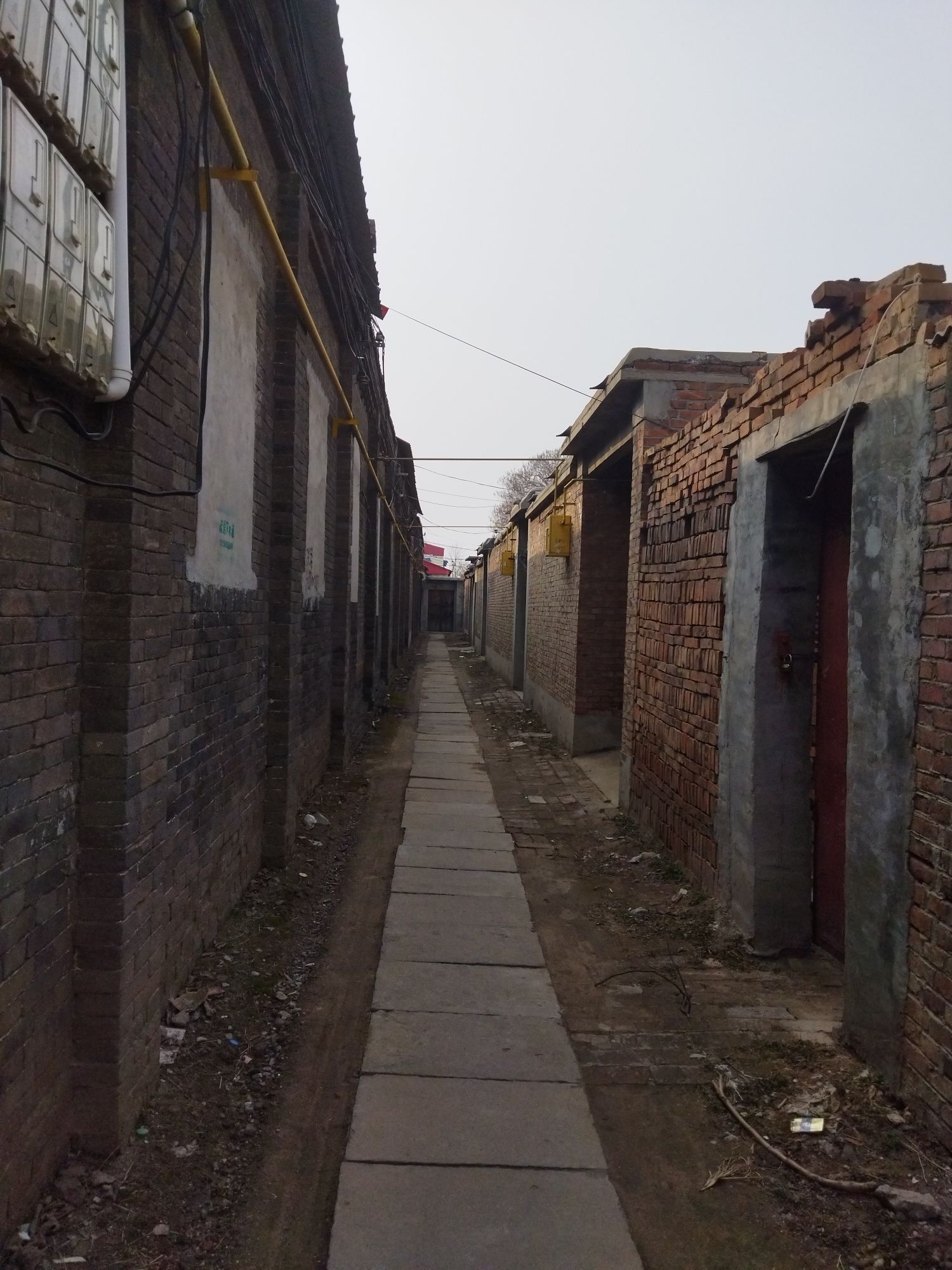 巨鹿宋城遗址旅行图片 1