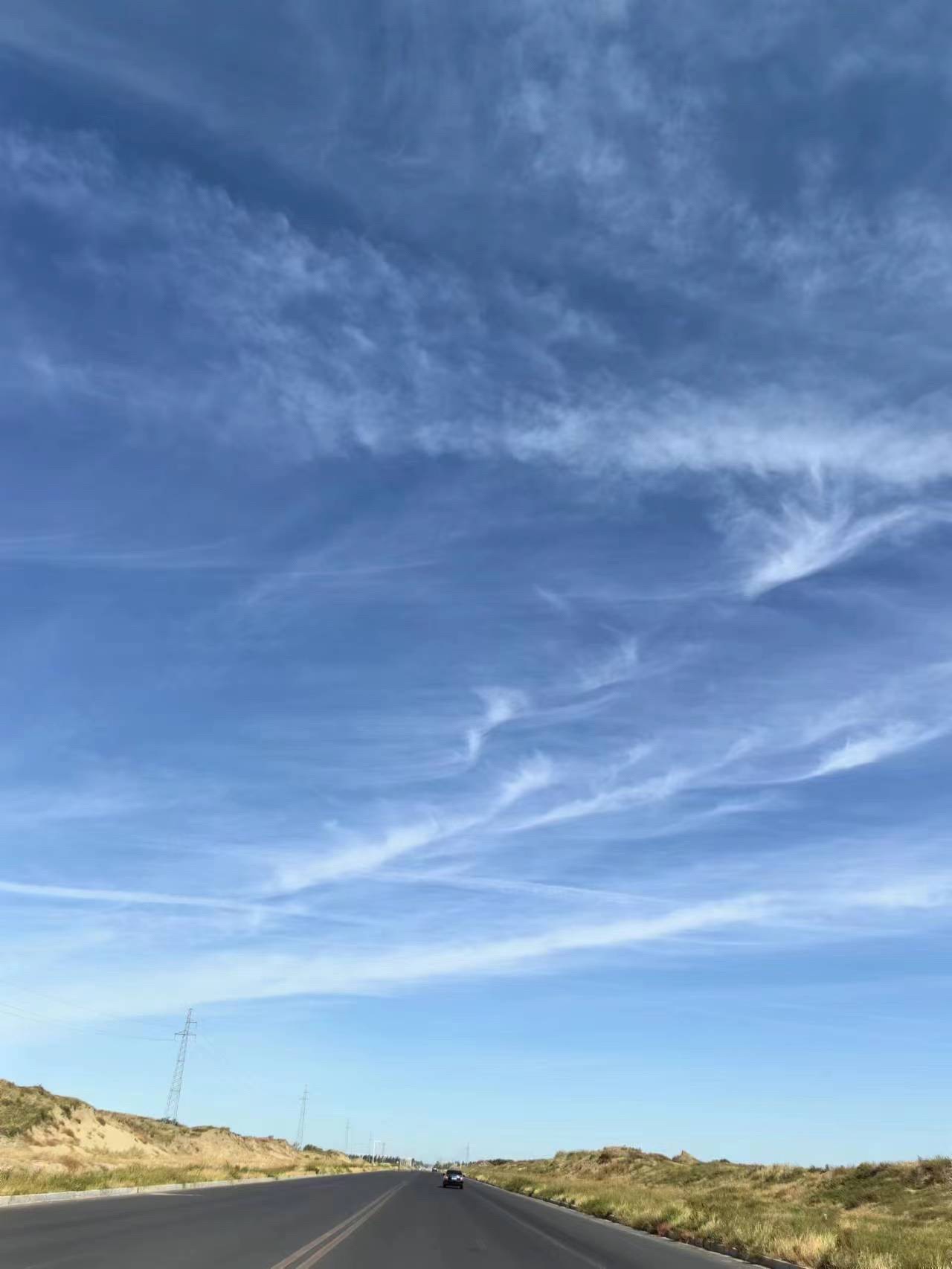 乌旦塔拉五角枫森林公园旅行图片 3