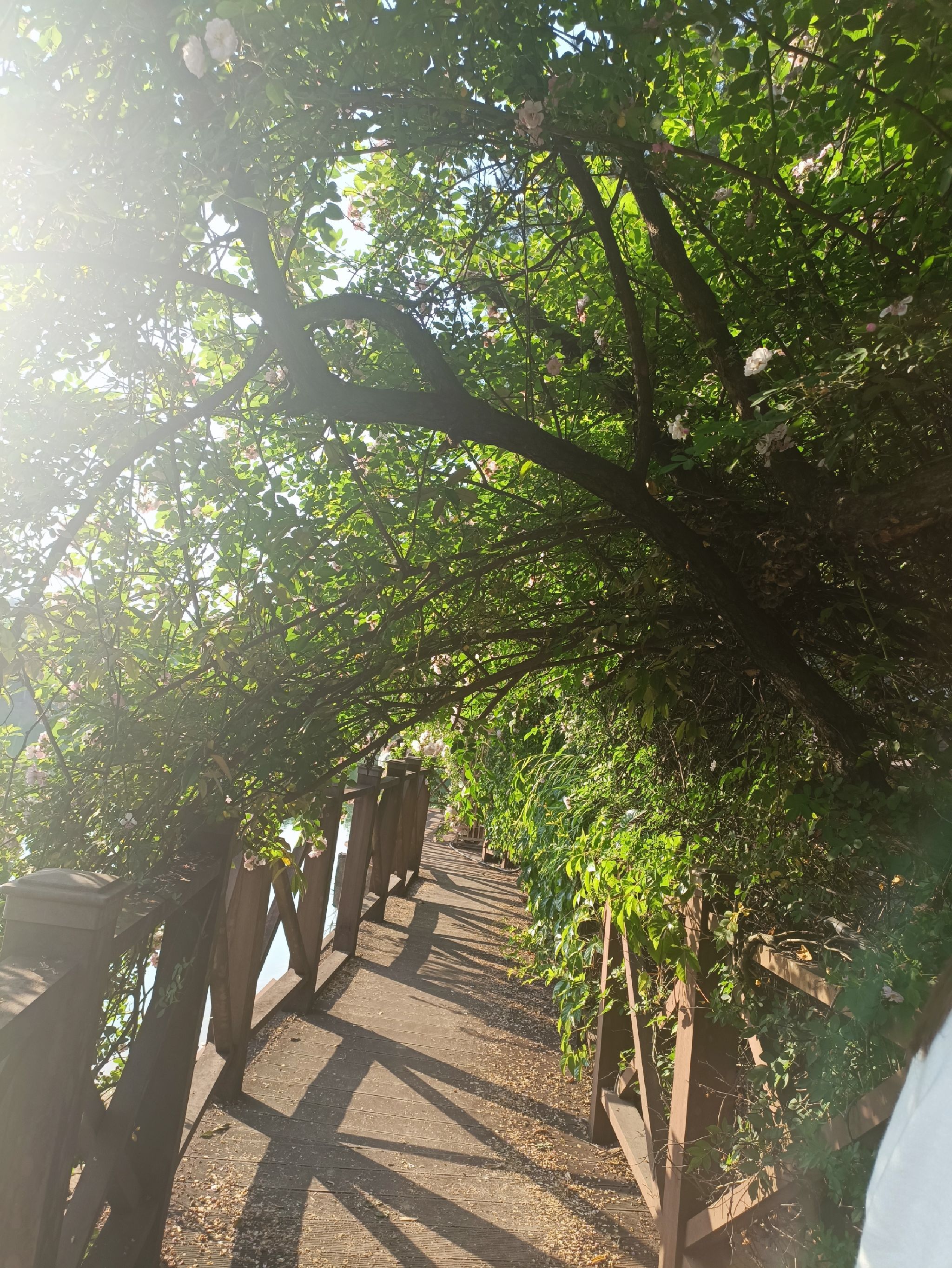 仁怀市鲁班镇天香湖旅游景区旅行图片 1