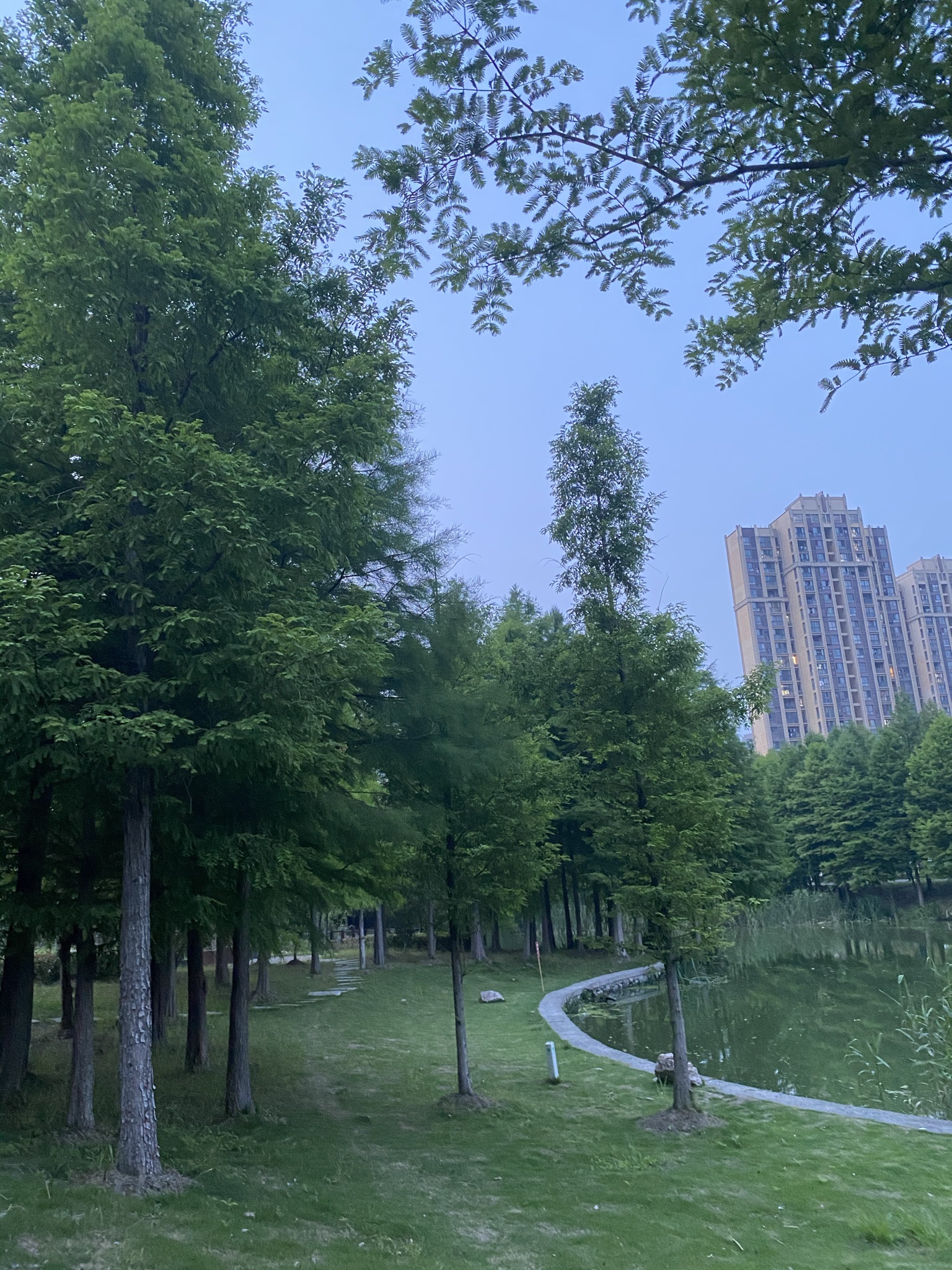 无为水景公园旅行图片 2
