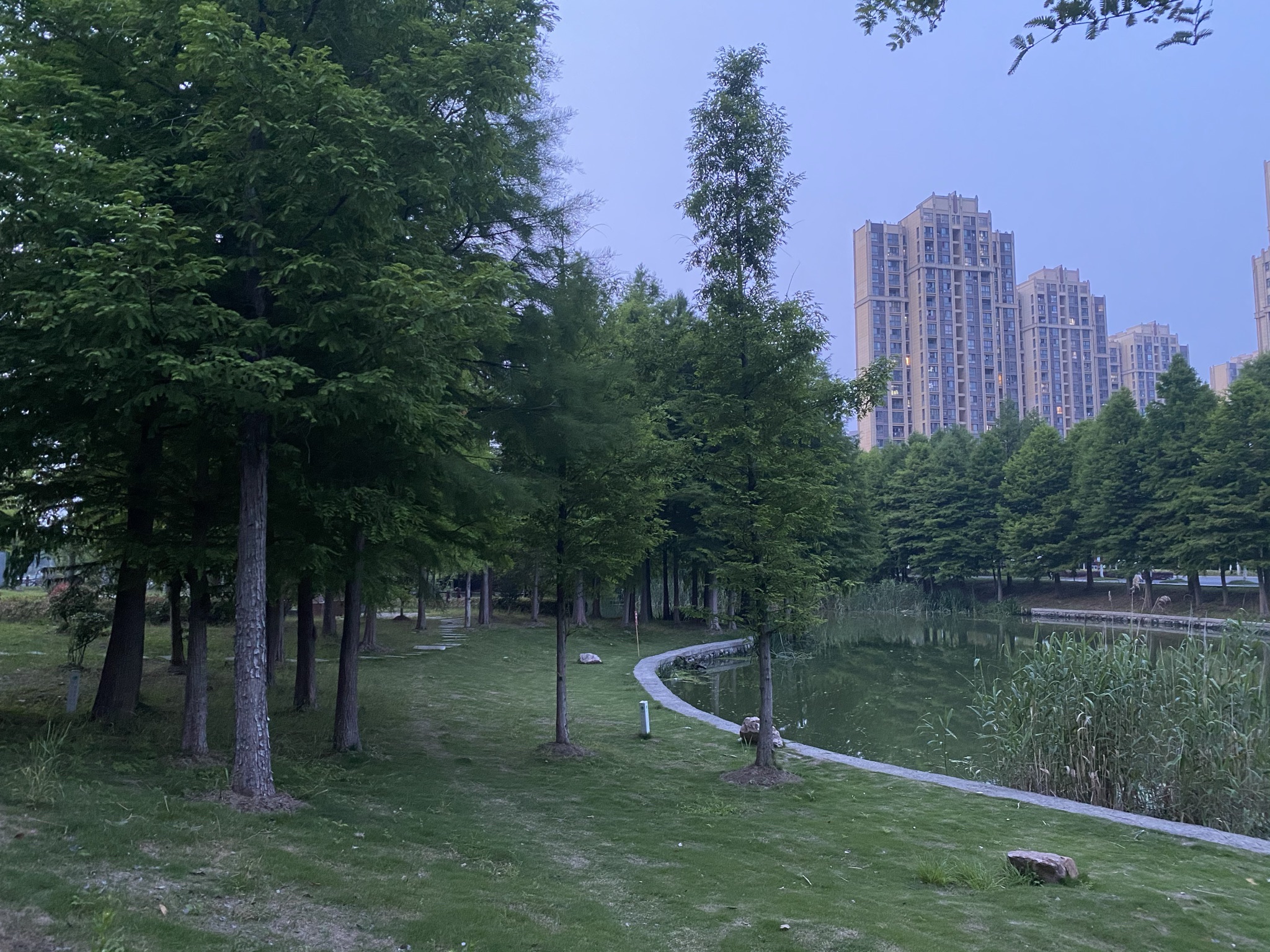 无为水景公园旅行图片 3