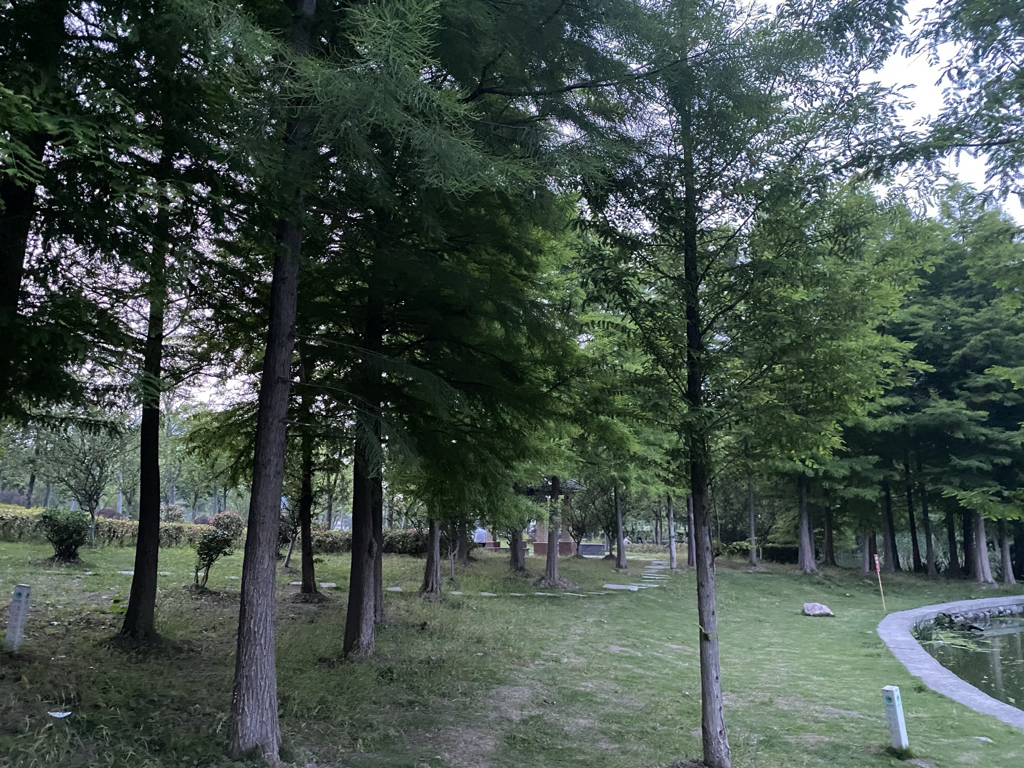 无为水景公园旅行图片 1