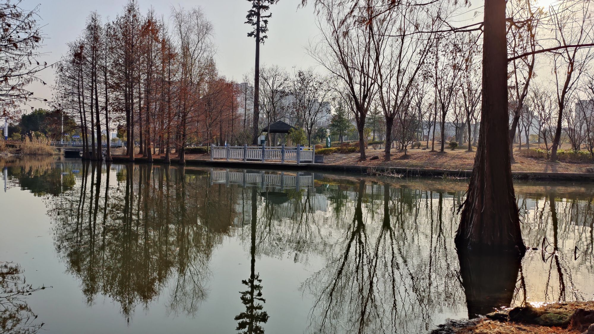 无为水景公园旅行图片 3