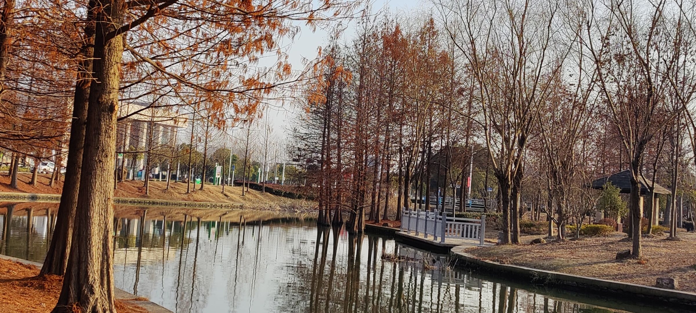 无为水景公园旅行图片 1