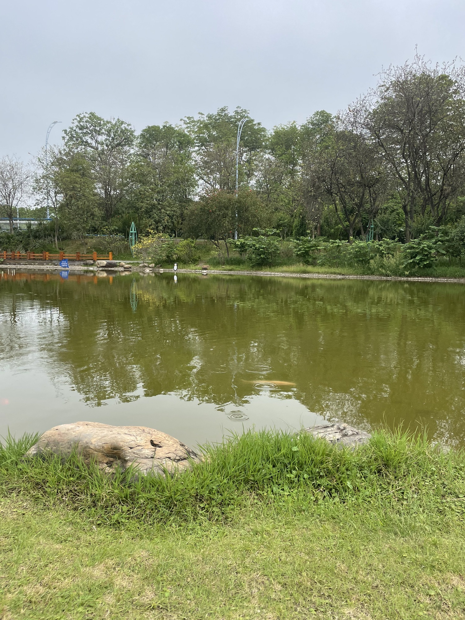柳州市河东公园旅行图片 1