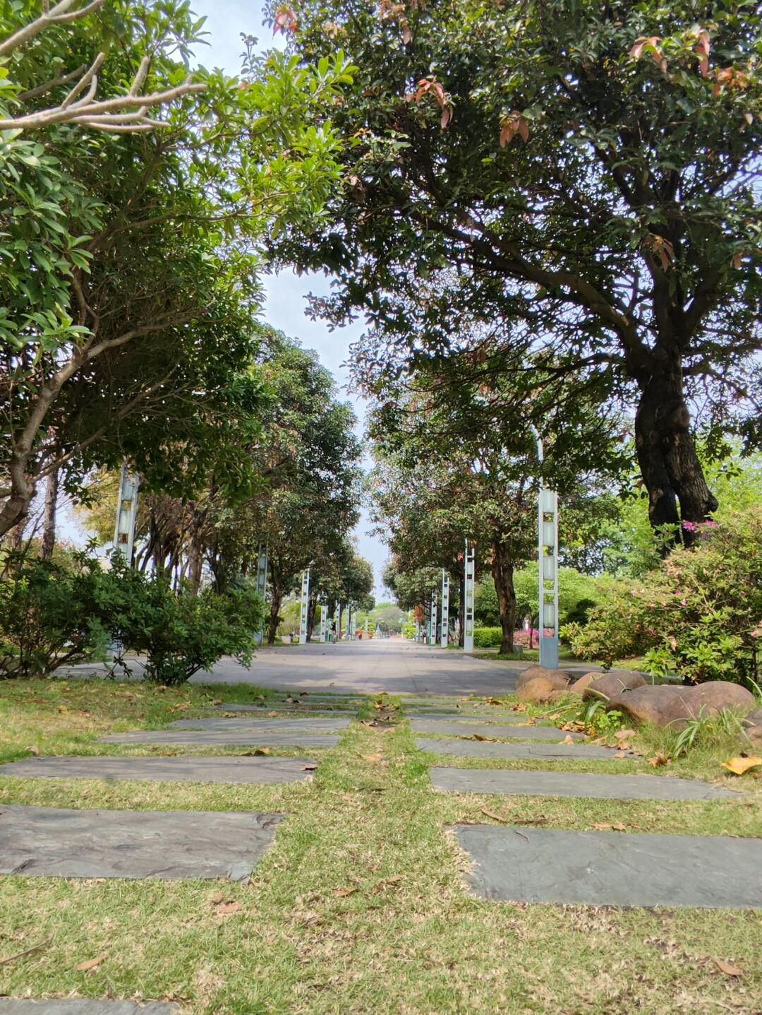 柳州市河东公园旅行图片 2