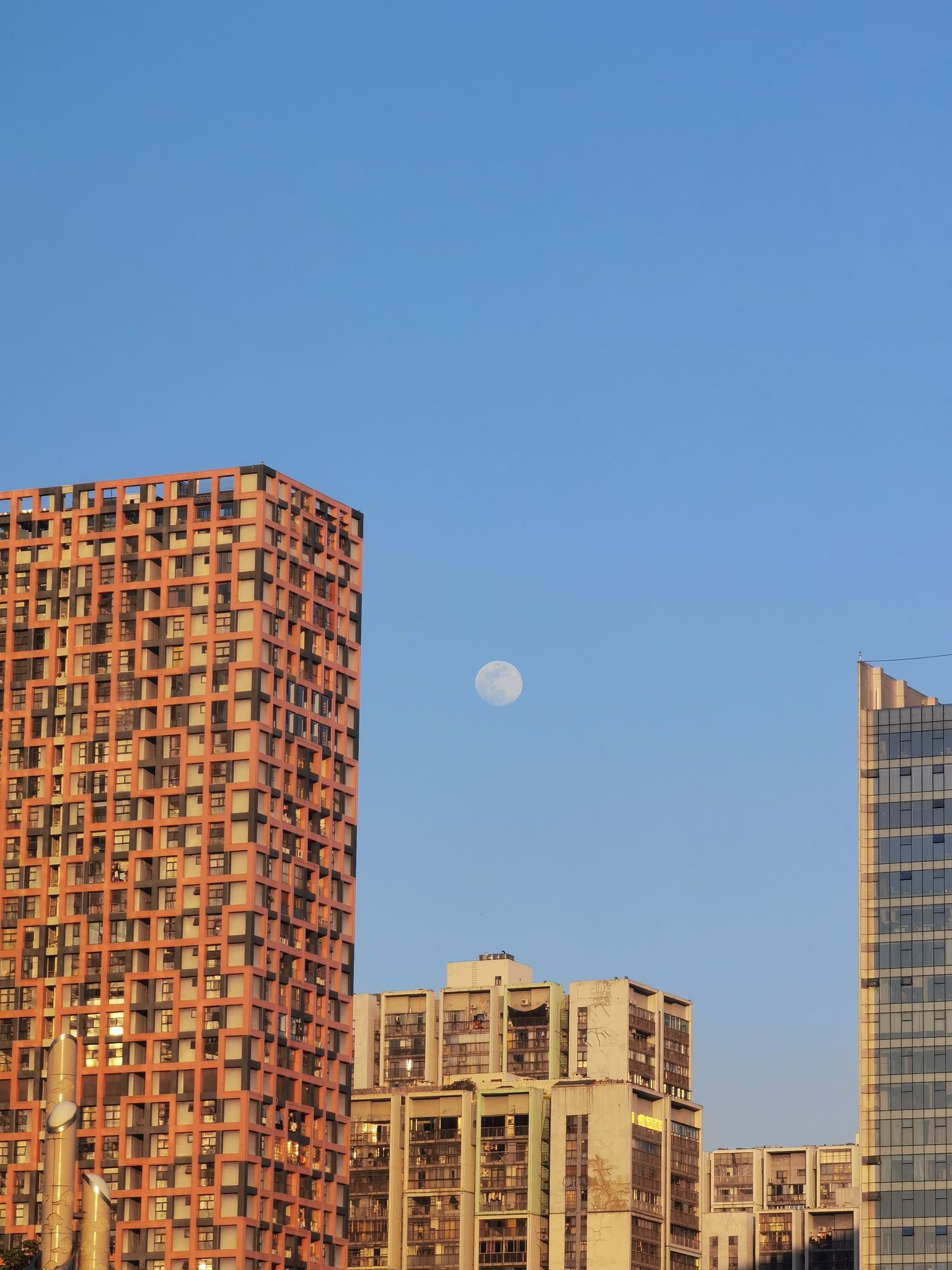柳州市河东公园旅行图片 2
