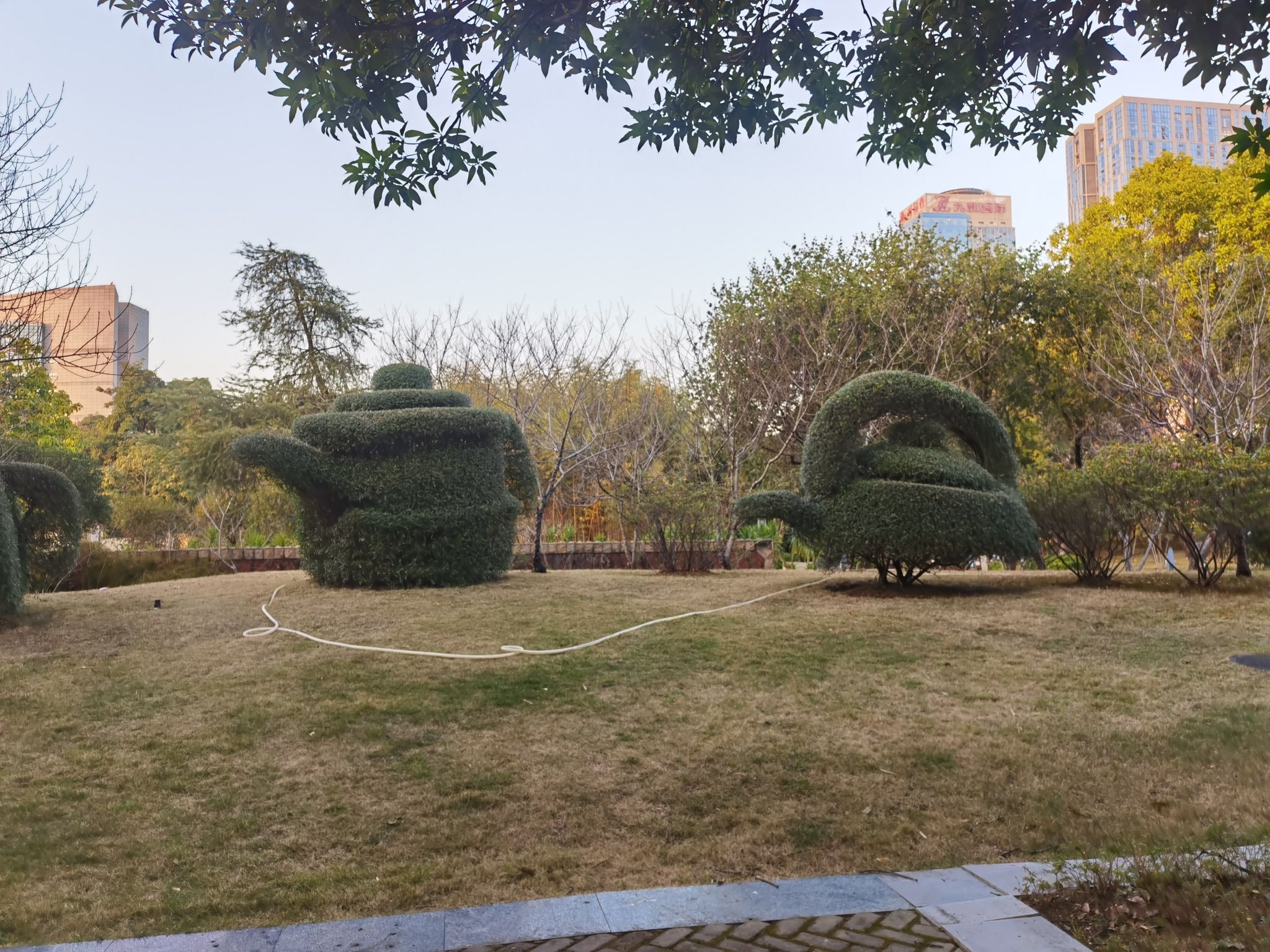 柳州市河东公园旅行图片 3