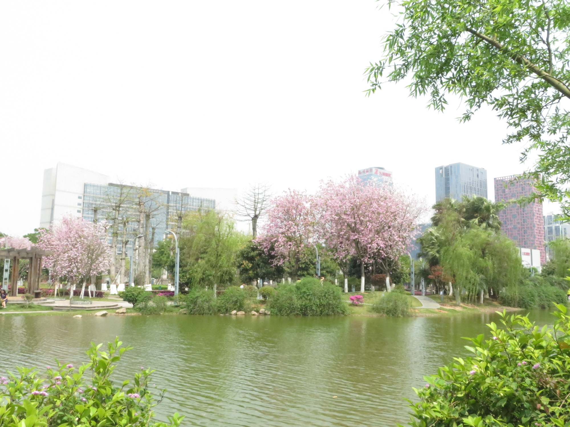 柳州市河东公园旅行图片 2
