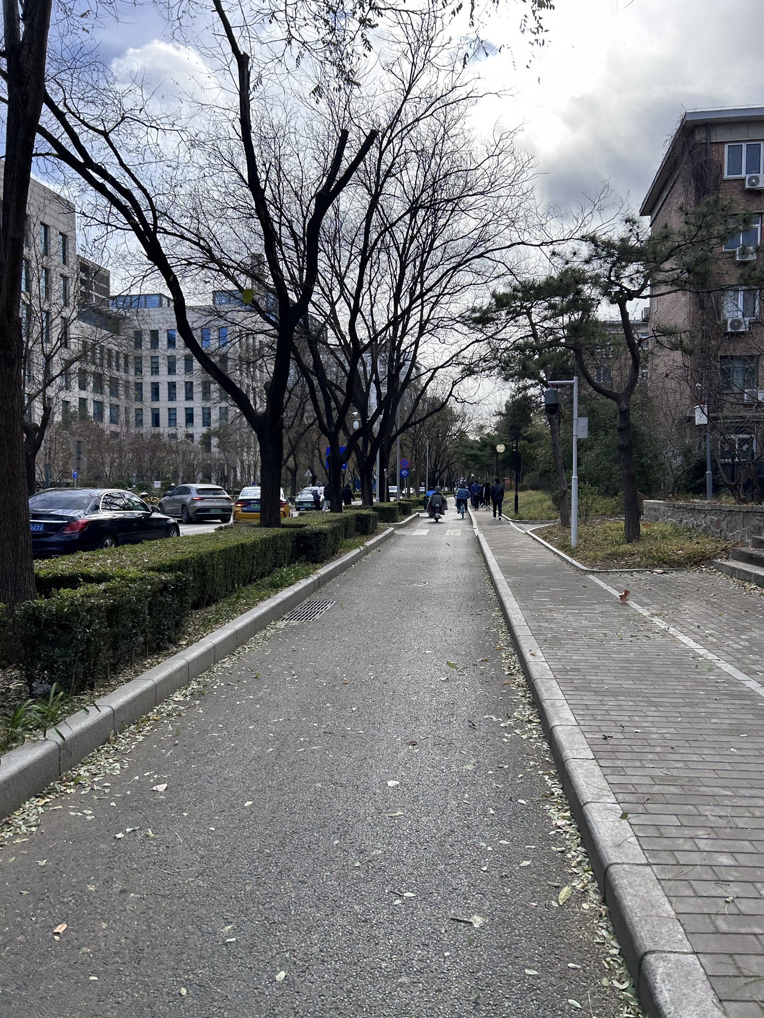 情人坡旅行图片 2
