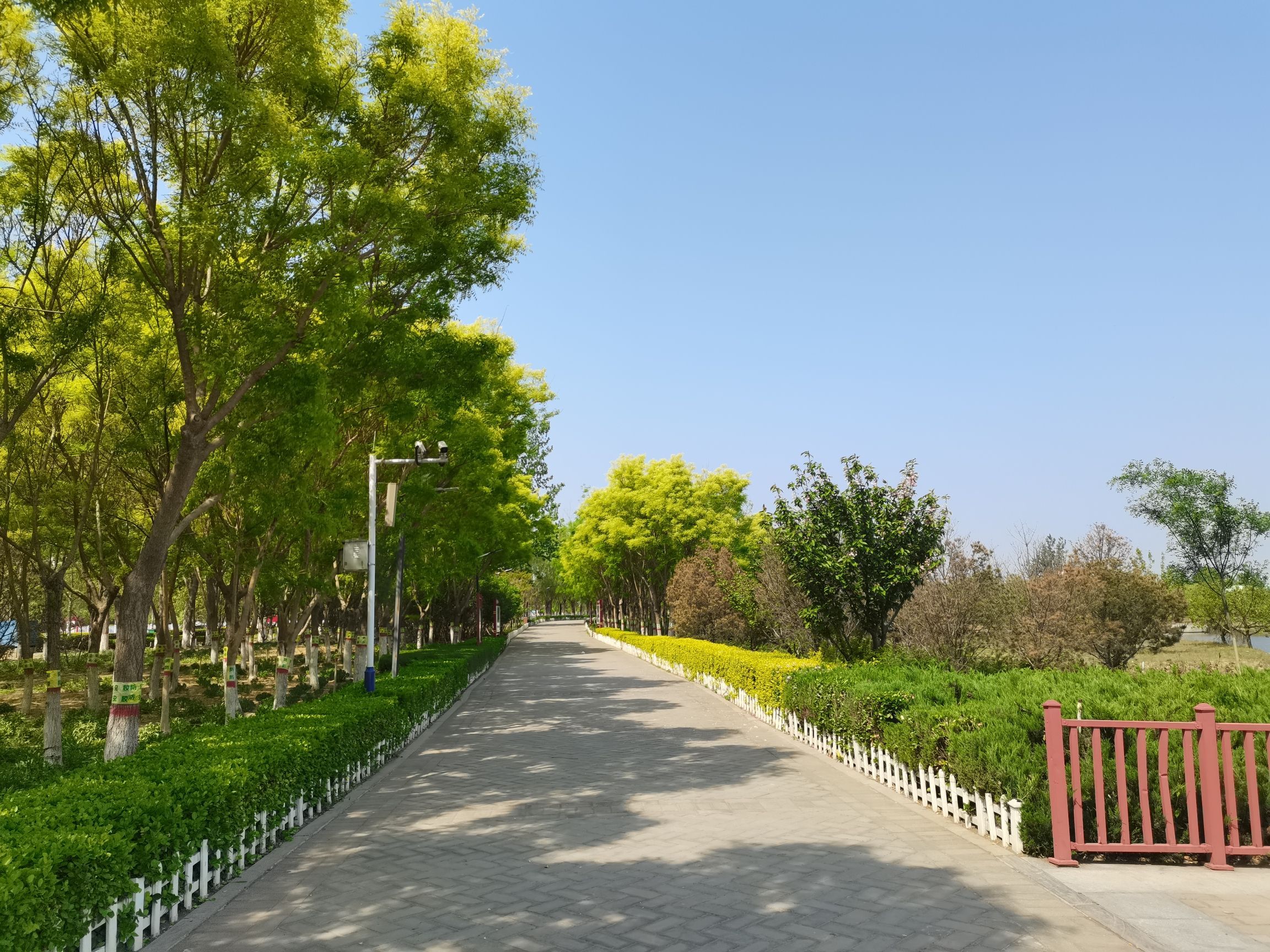 巨鹿县水上公园