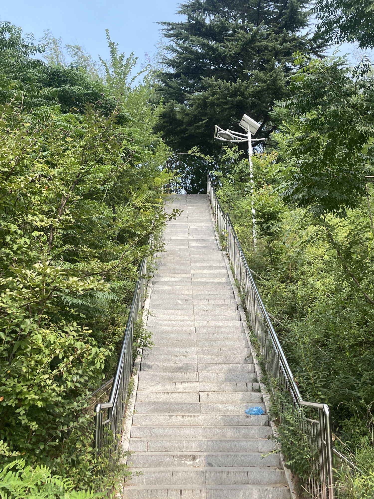 故城公园旅行图片 3
