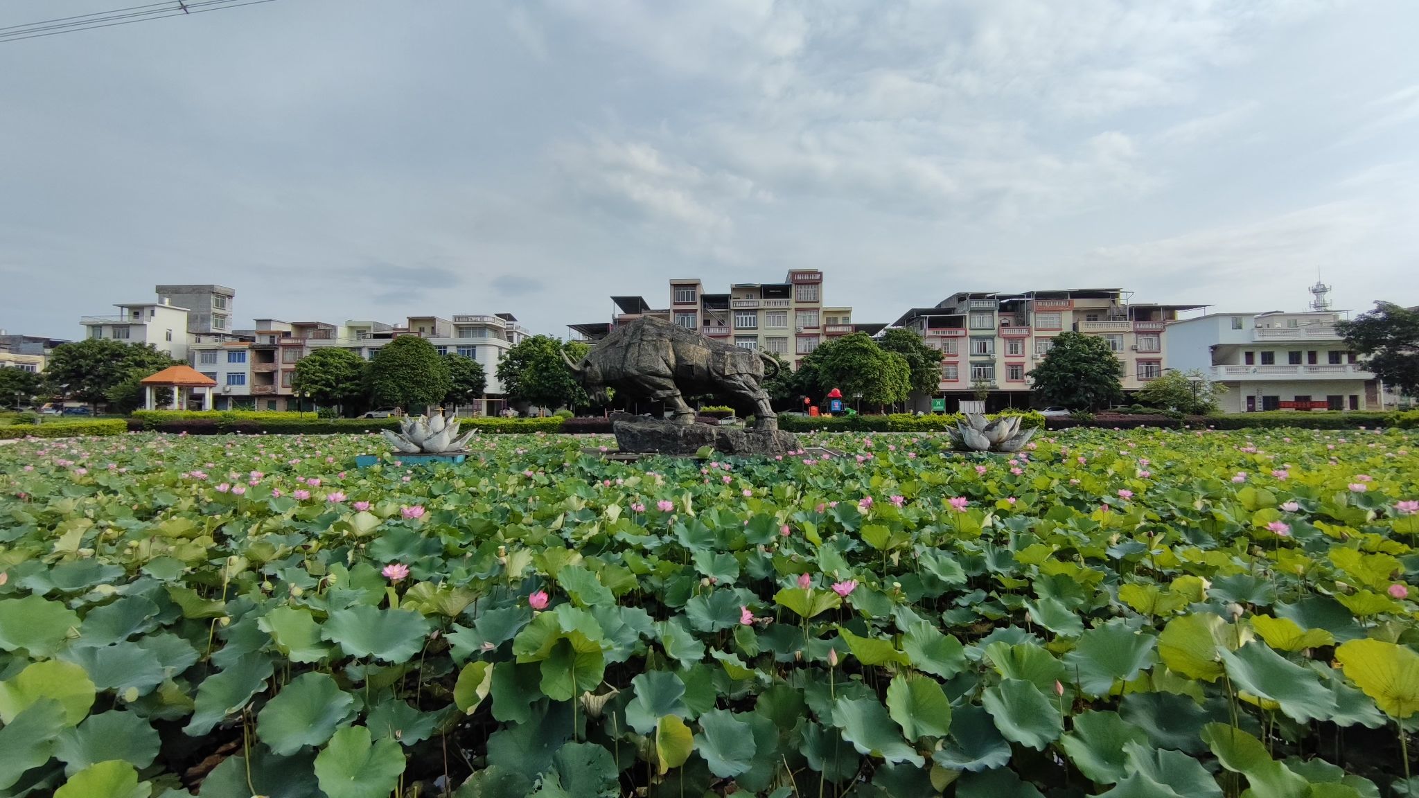 东风农场广场旅行图片 2
