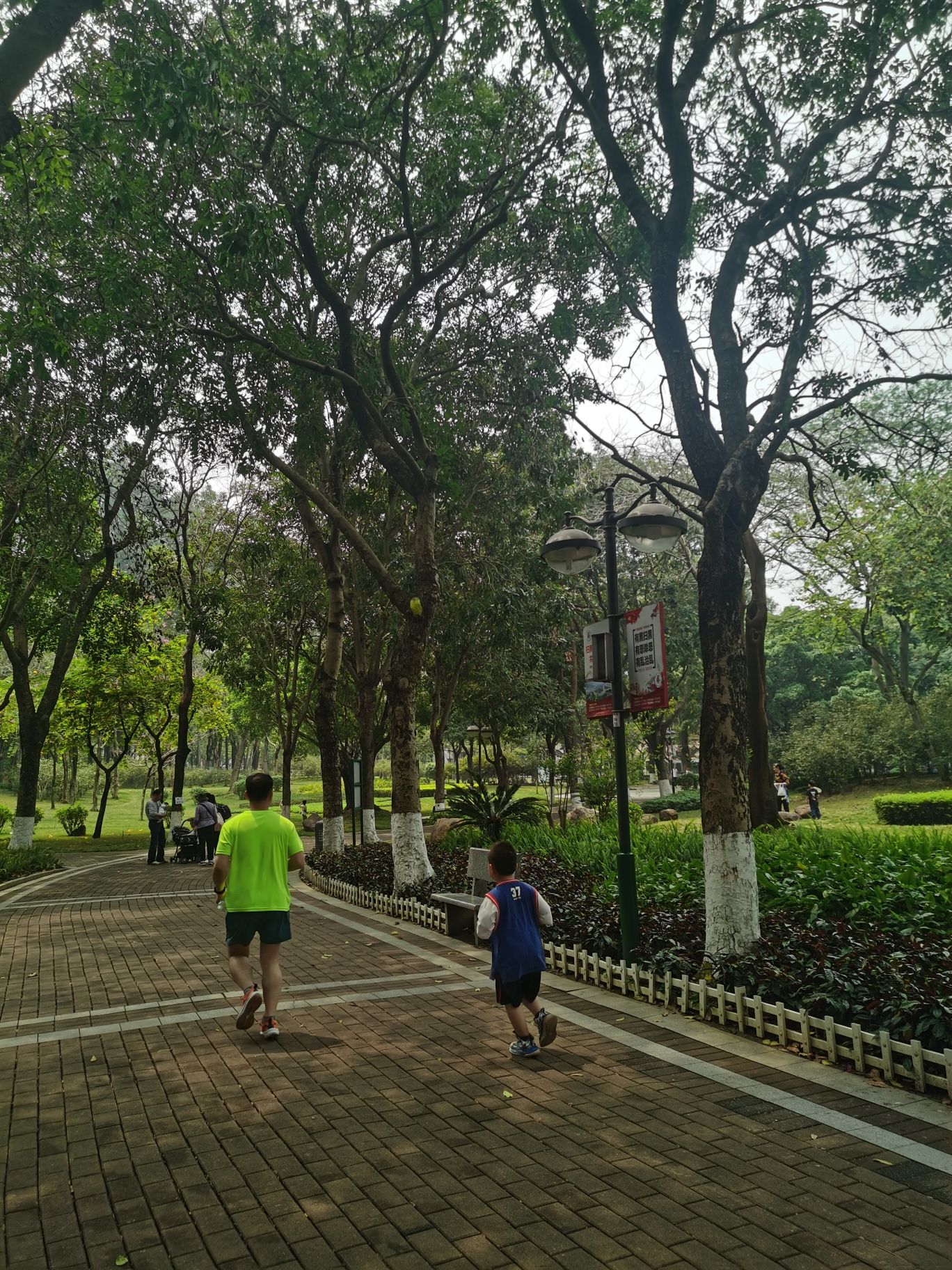 西南公园旅行图片 3